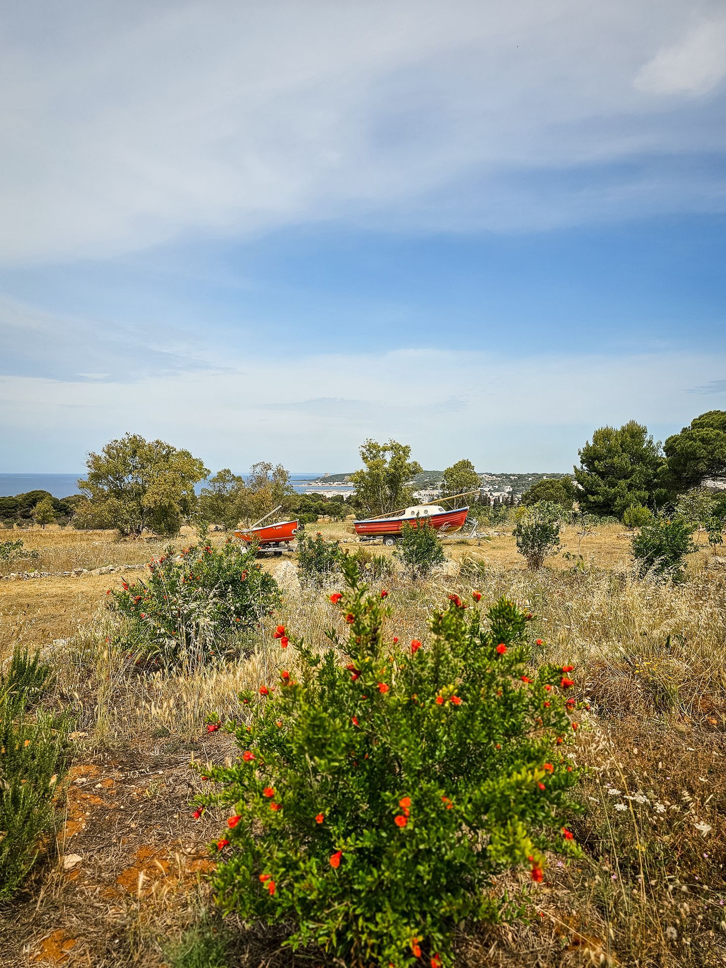 Villa Rustica con Piazzole vista mare per Tenda, Camper e Roulotte