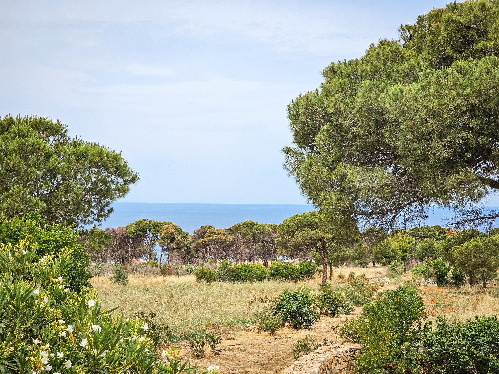Villa Rustica con Piazzole vista mare per Tenda, Camper e Roulotte