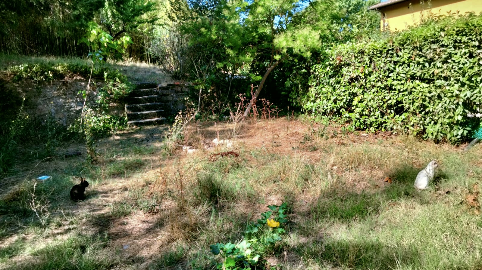 Giardino per tende nelle colline fiorentine