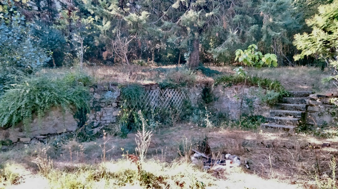Giardino per tende nelle colline fiorentine