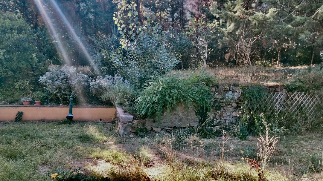 Giardino per tende nelle colline fiorentine