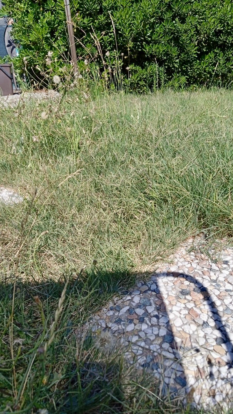 Prado vallado con parcelas también en la línea de costa de hormigón a 300 metros de distancia fuente de agua de la montaña en el lugar de asistencia para cualquier conexión en el pueblo de comestibles y varios