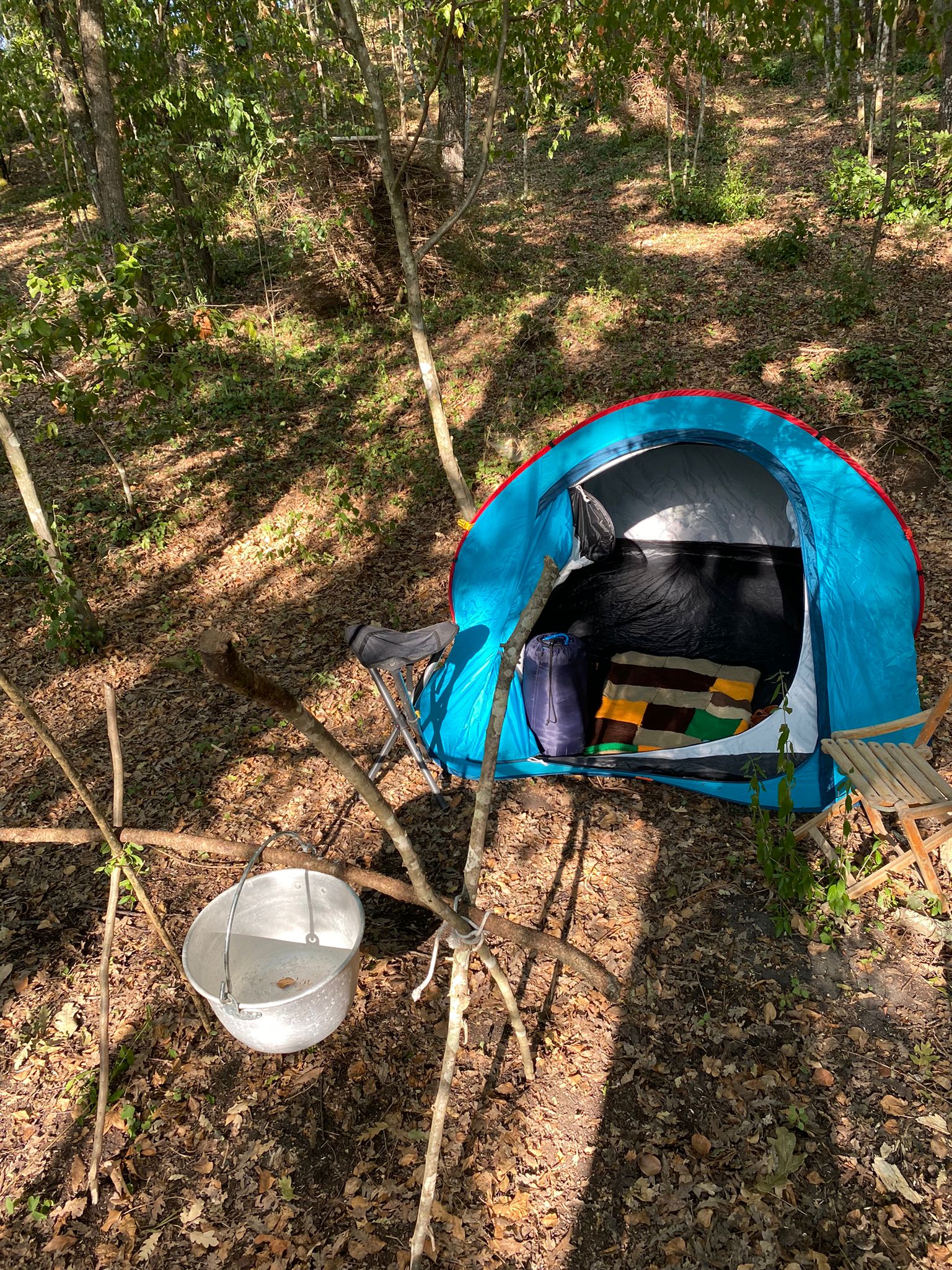 Lieu pour tente dans les bois