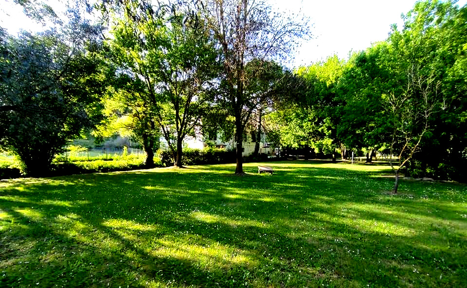 Camping among the holm oaks of Pisa