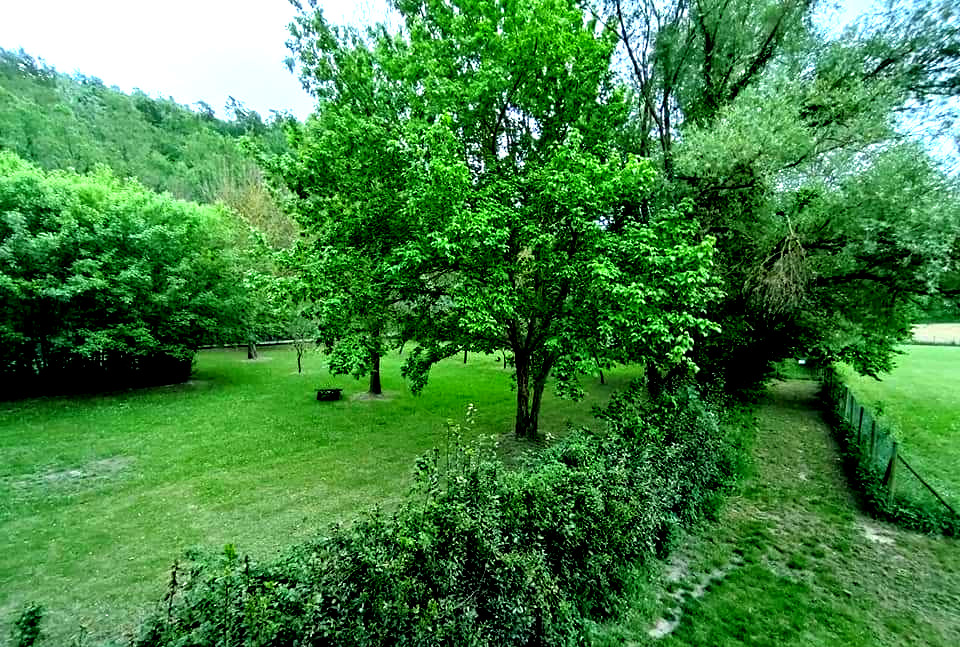 Camping among the holm oaks of Pisa