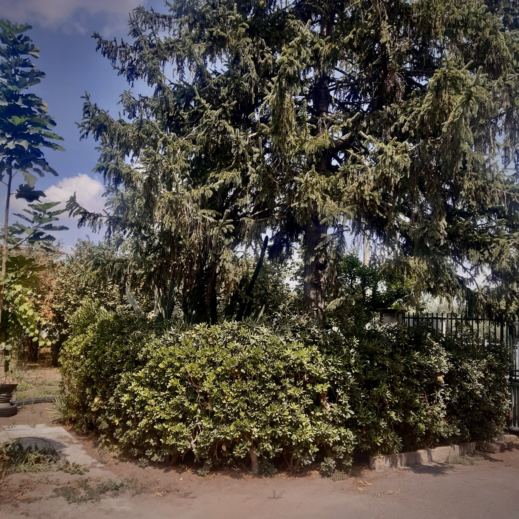 Parking area with garden in the province of Naples