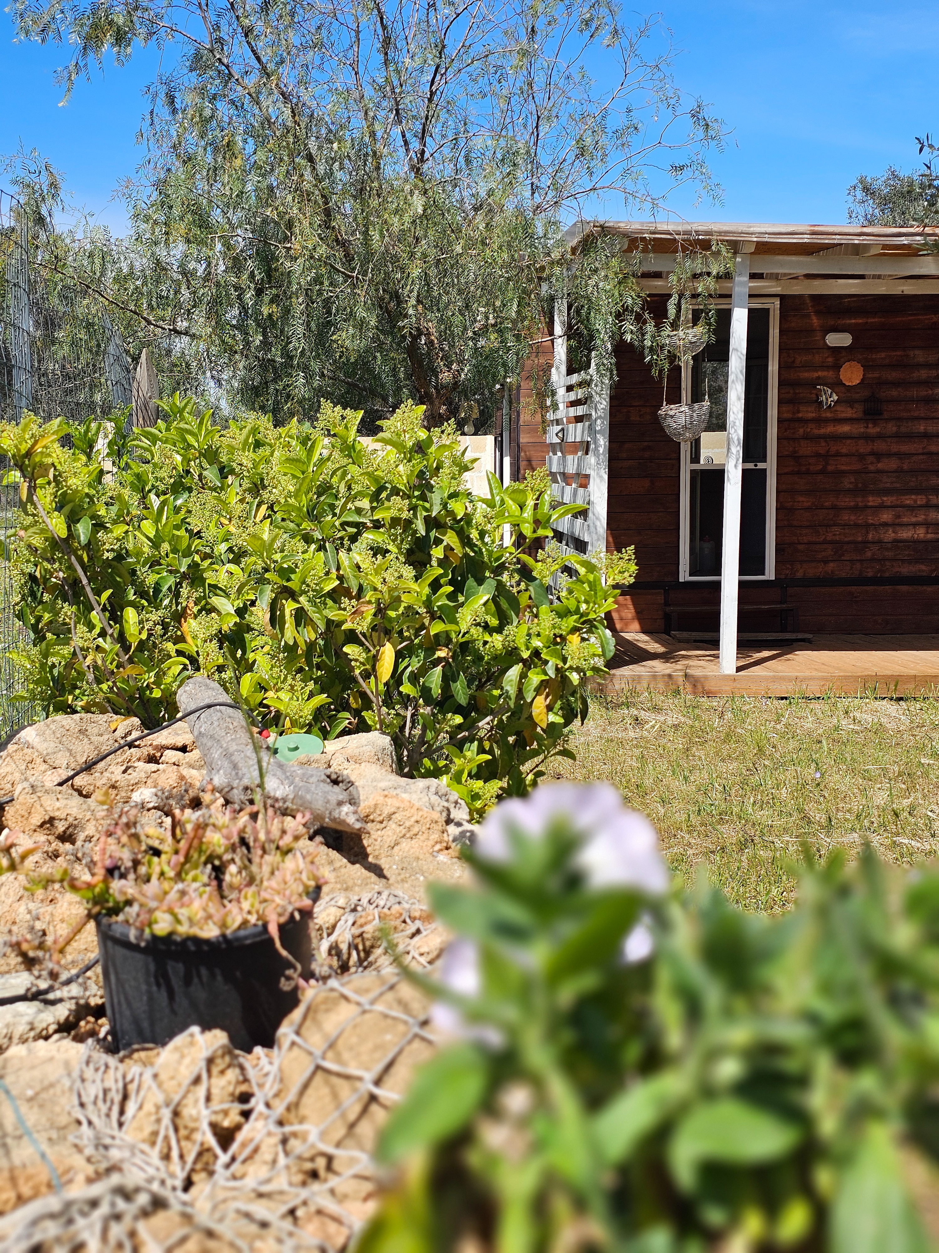 Privater Garten am Meer