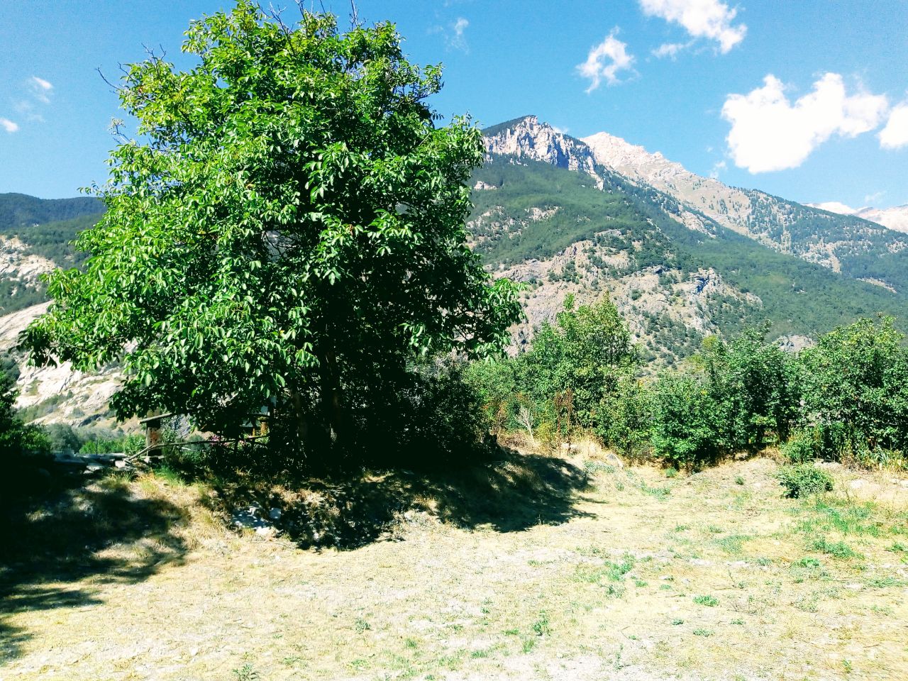 Comoda Piazzola per Campeggio a Torino