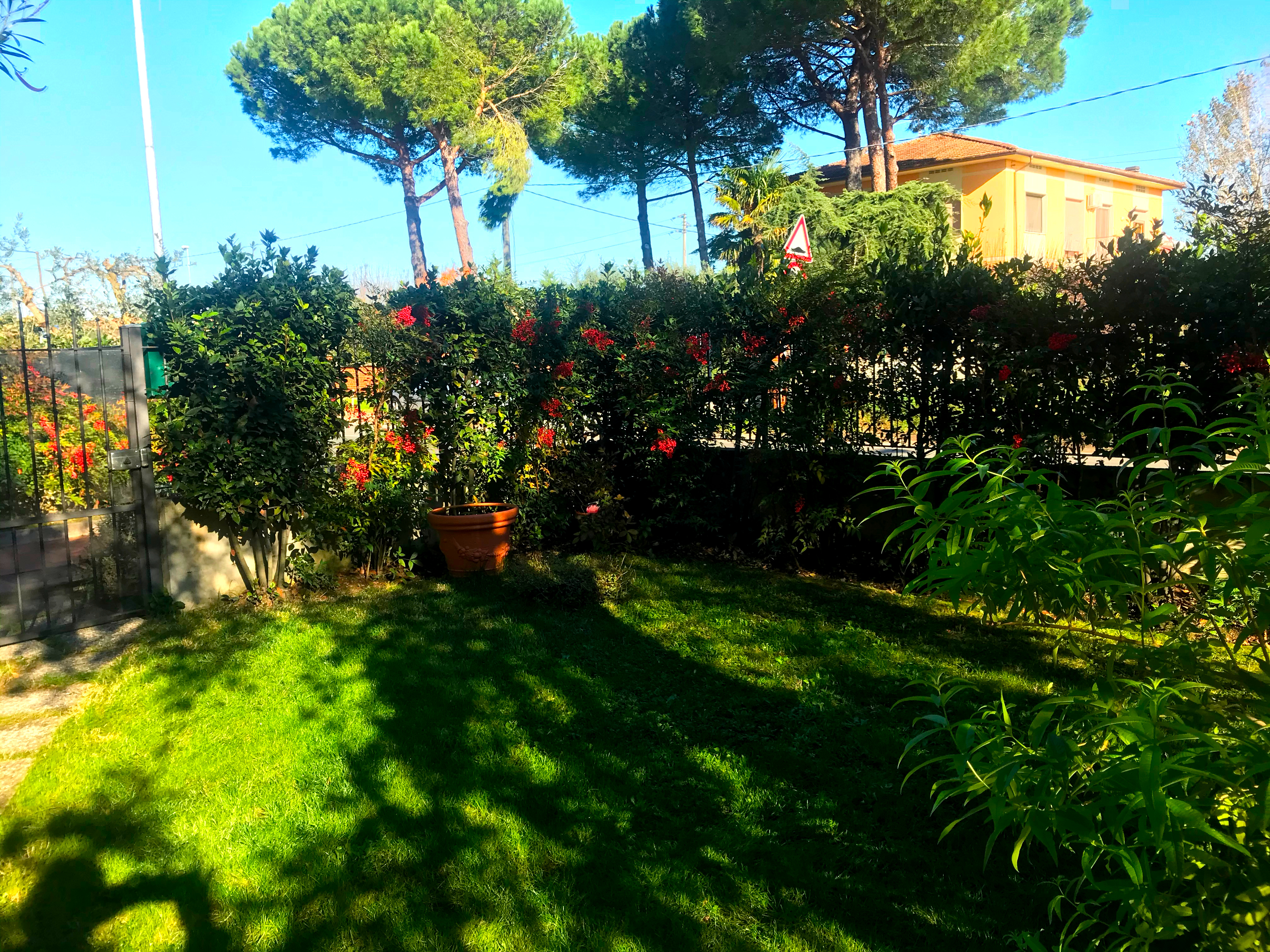 Garten mit Veranda zum Zelten