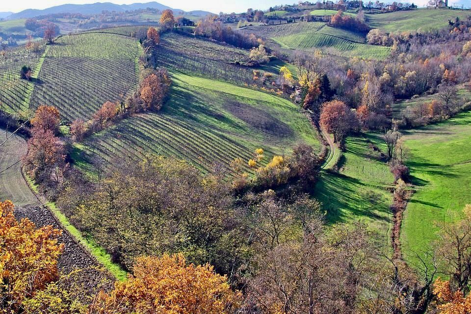 Parco a Sasso Morelli non distante da Imola