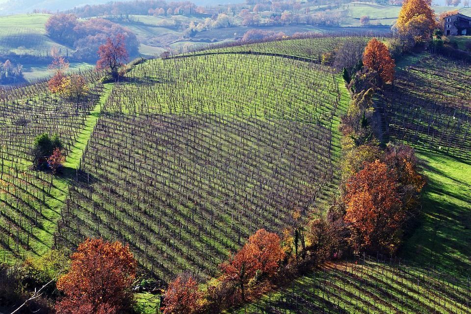 Parco a Sasso Morelli non distante da Imola