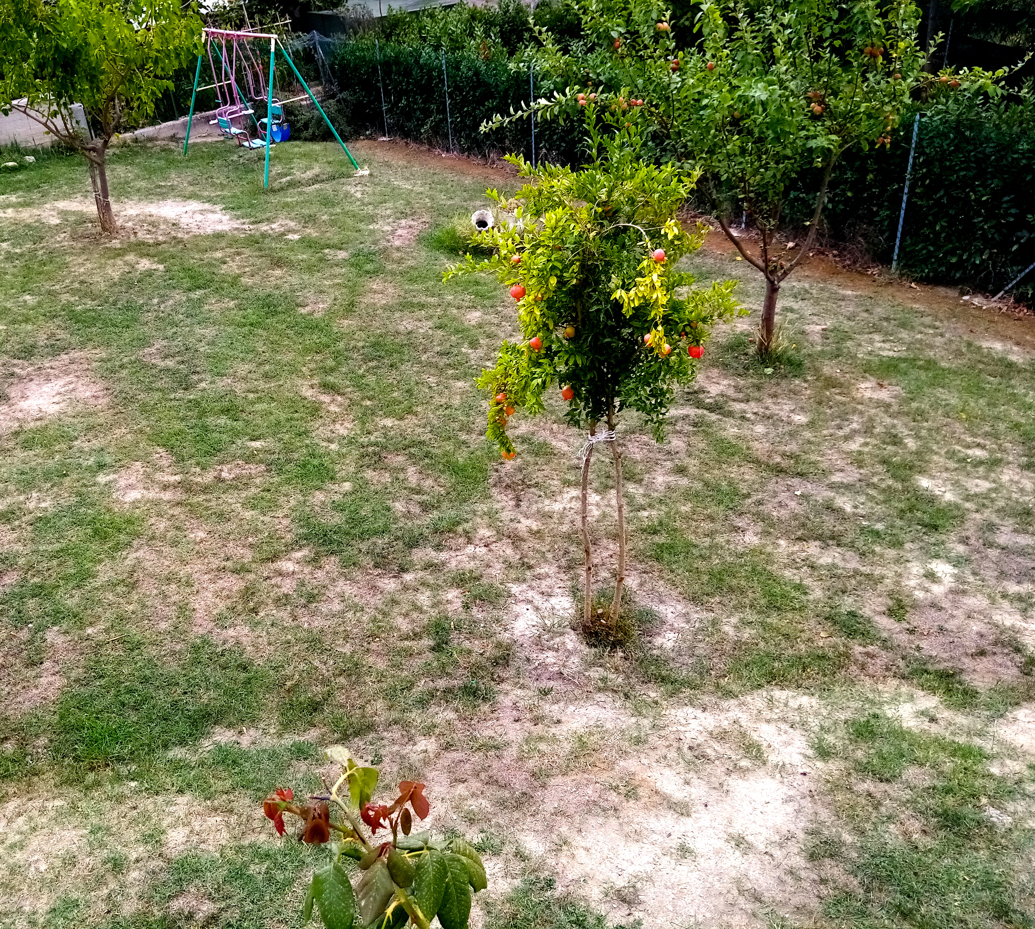 Camper pitch surrounded by nature in Rimini