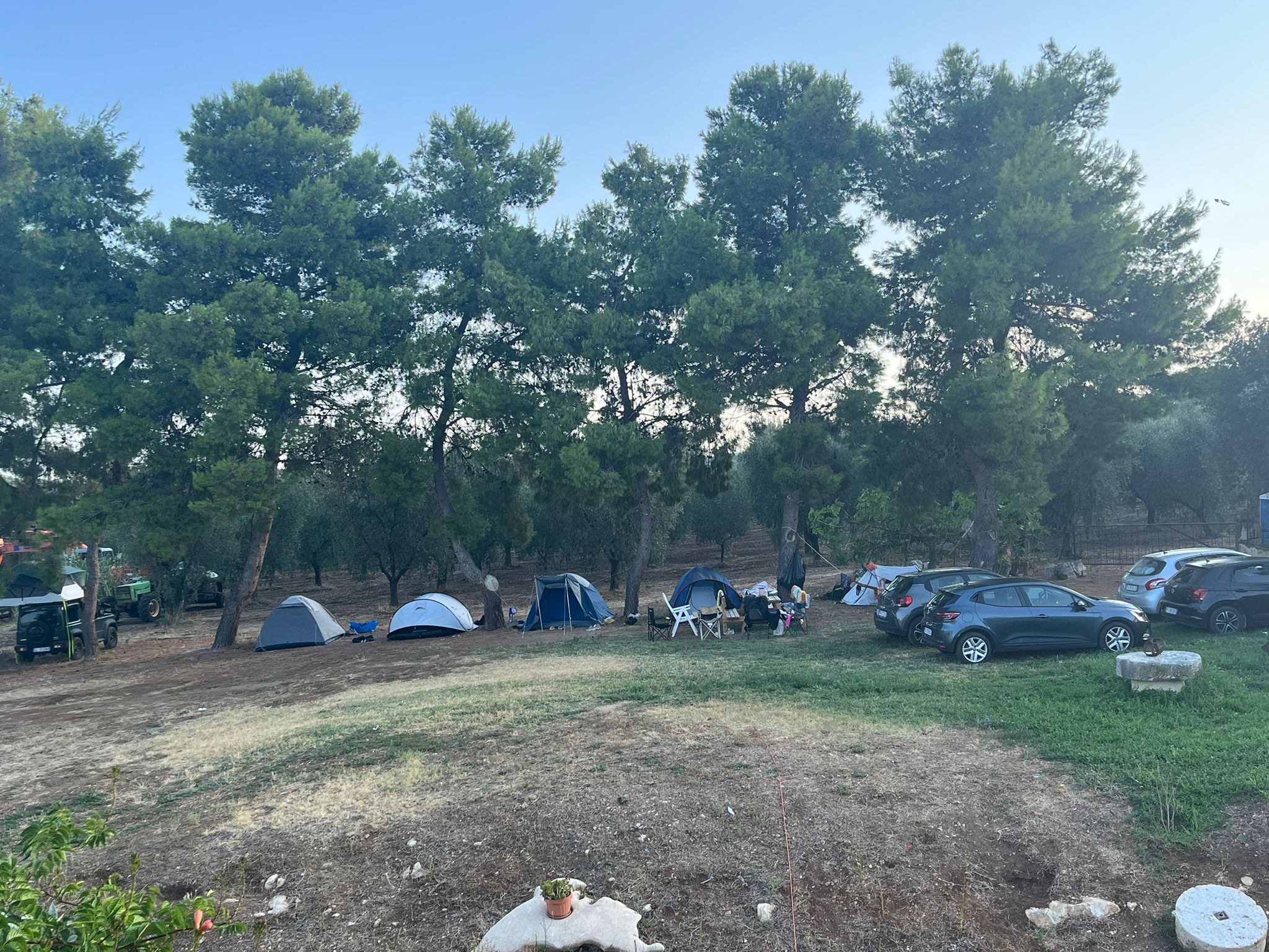 Aire verte pour tentes ou camping-cars au cœur du Gargano