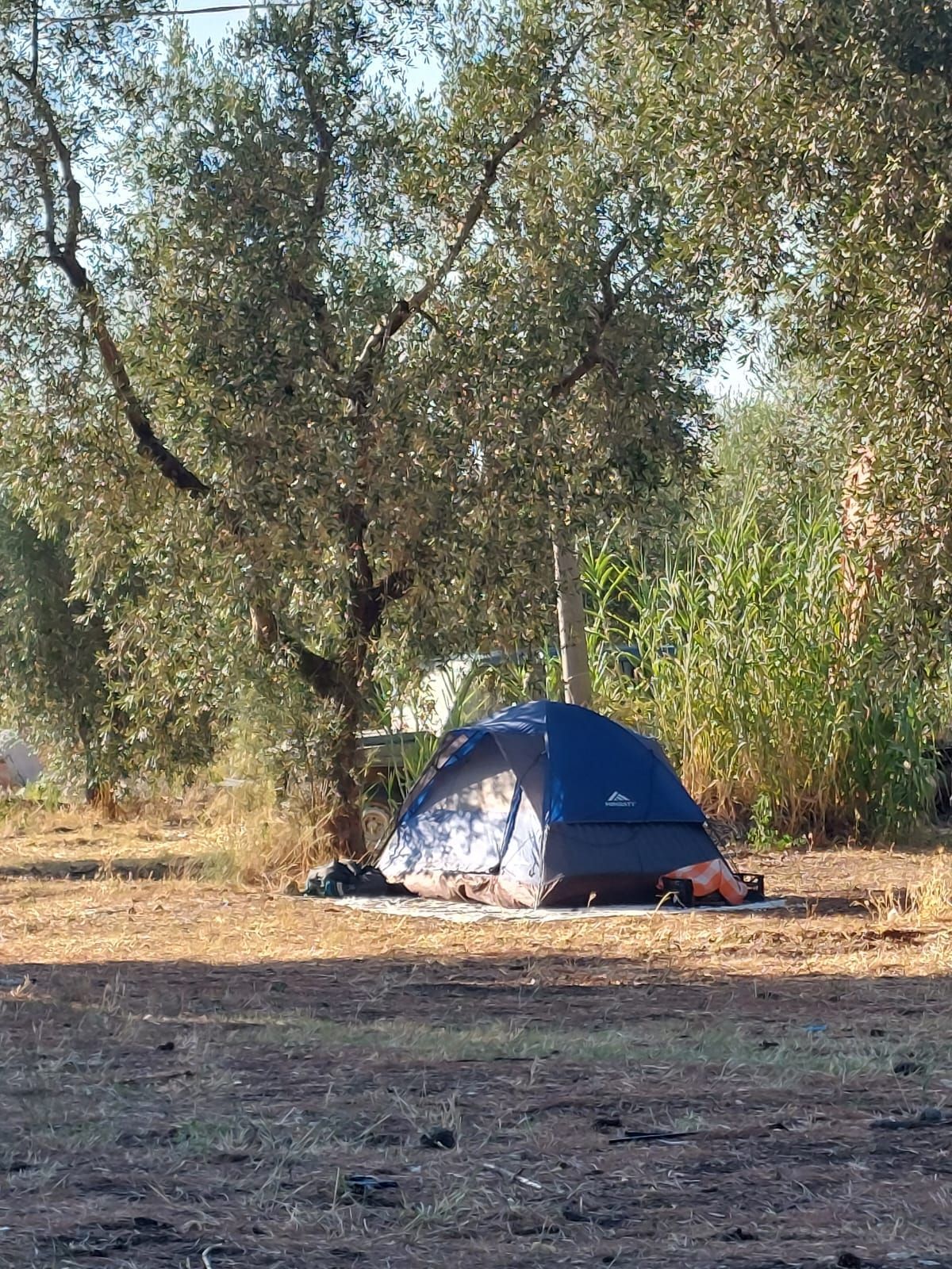 Grünfläche für Zelte oder Wohnmobile im Herzen des Gargano