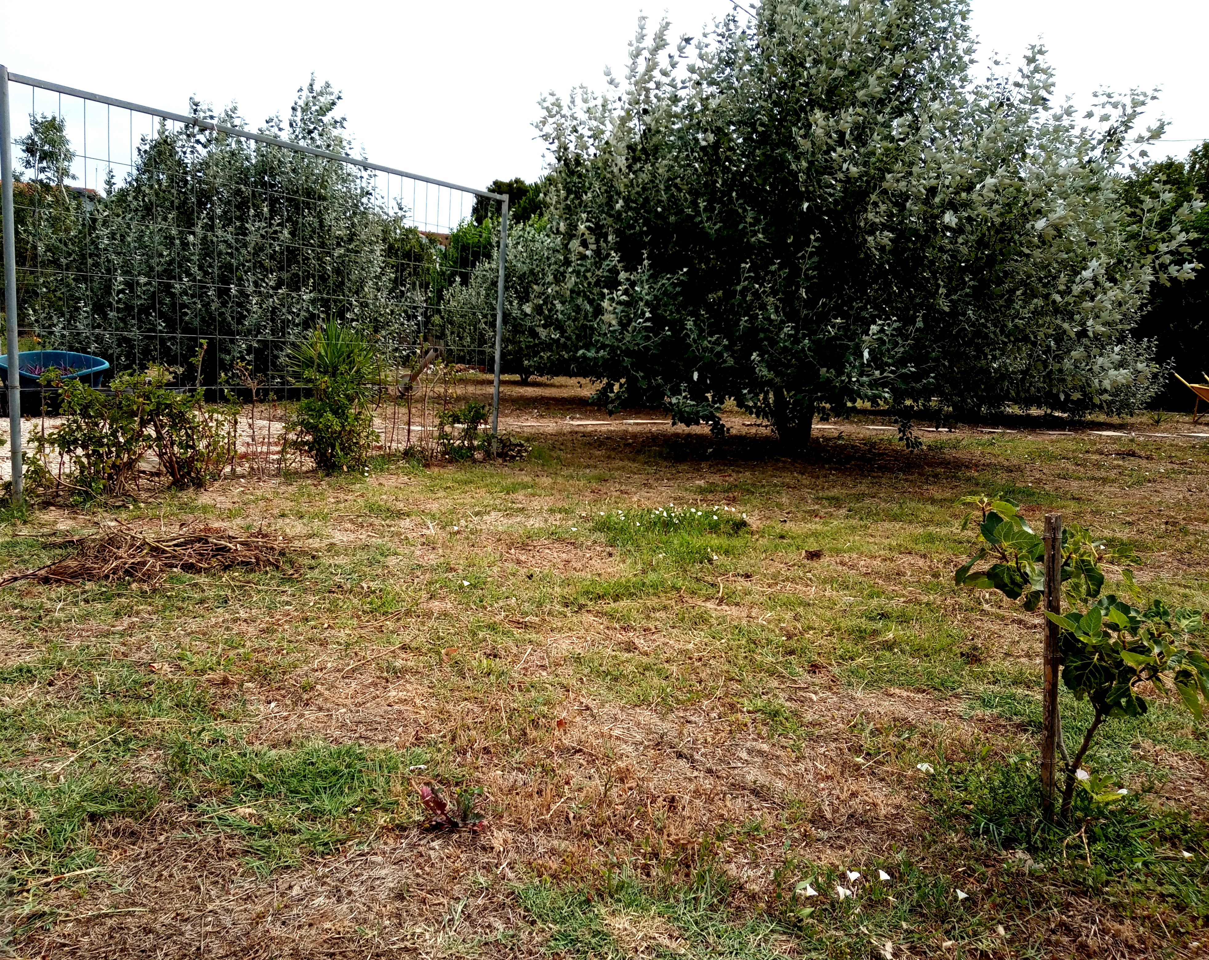 Zona verde en la campiña de Brindisi