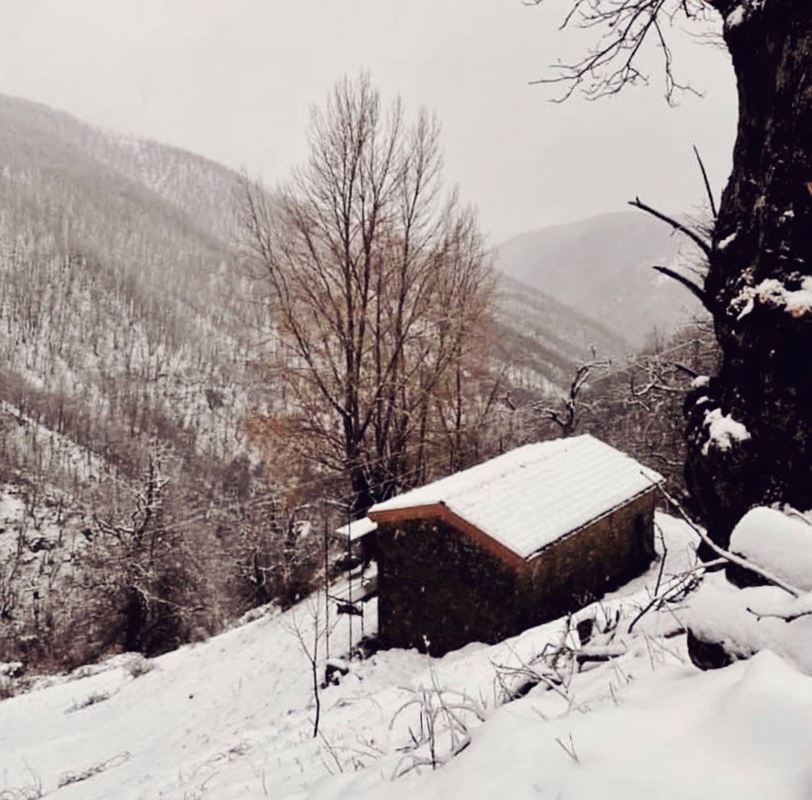 Ferienhaus in den Garfagnana Bergen