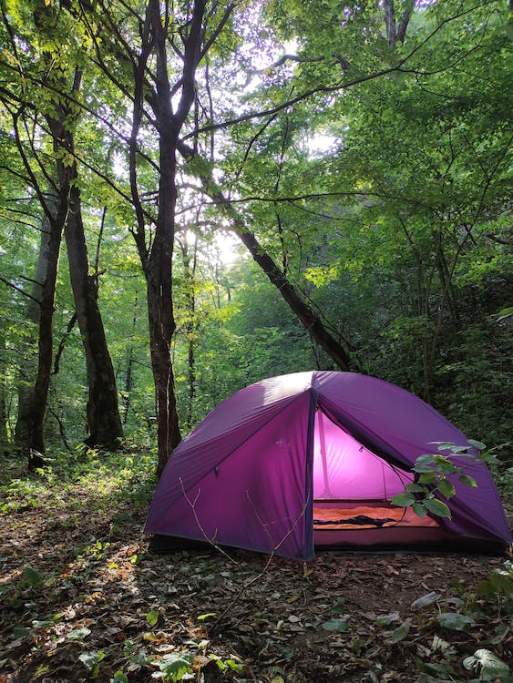 Tent or Camper Area in Villa salernitana