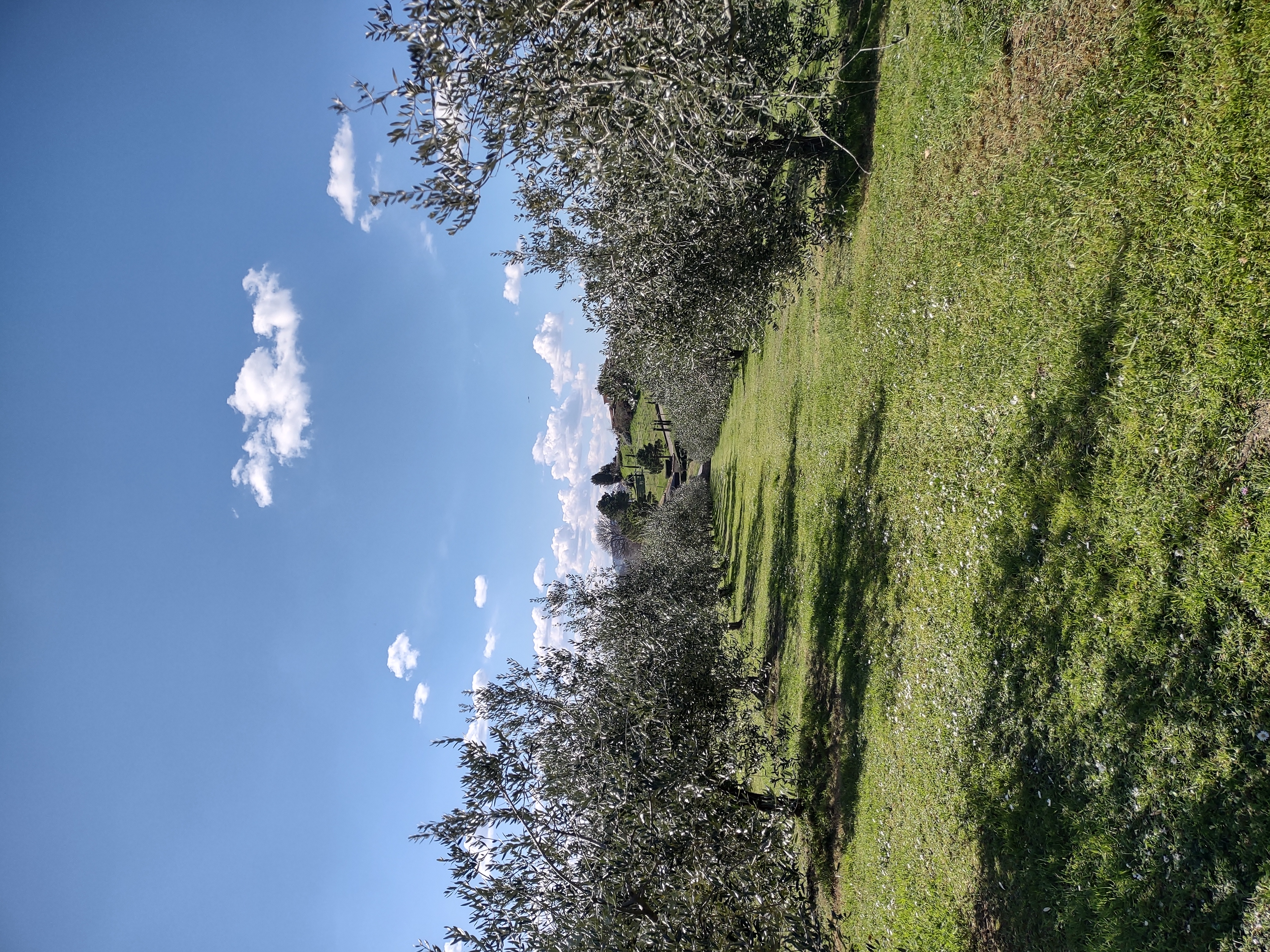 Panoramic Pitch Tenuta Gobbi in Cesena