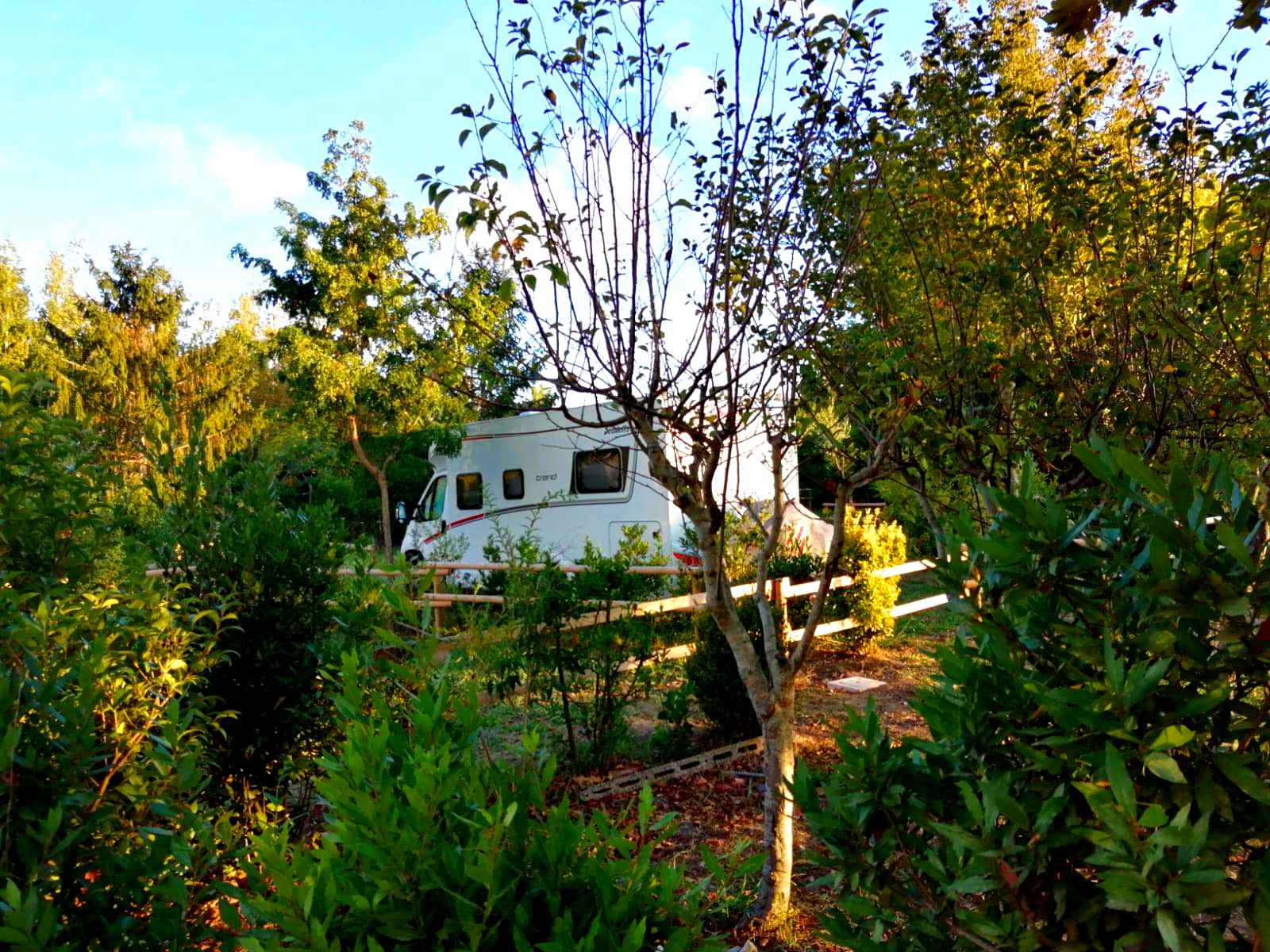 Zona de acampada de Il Pruno Garden