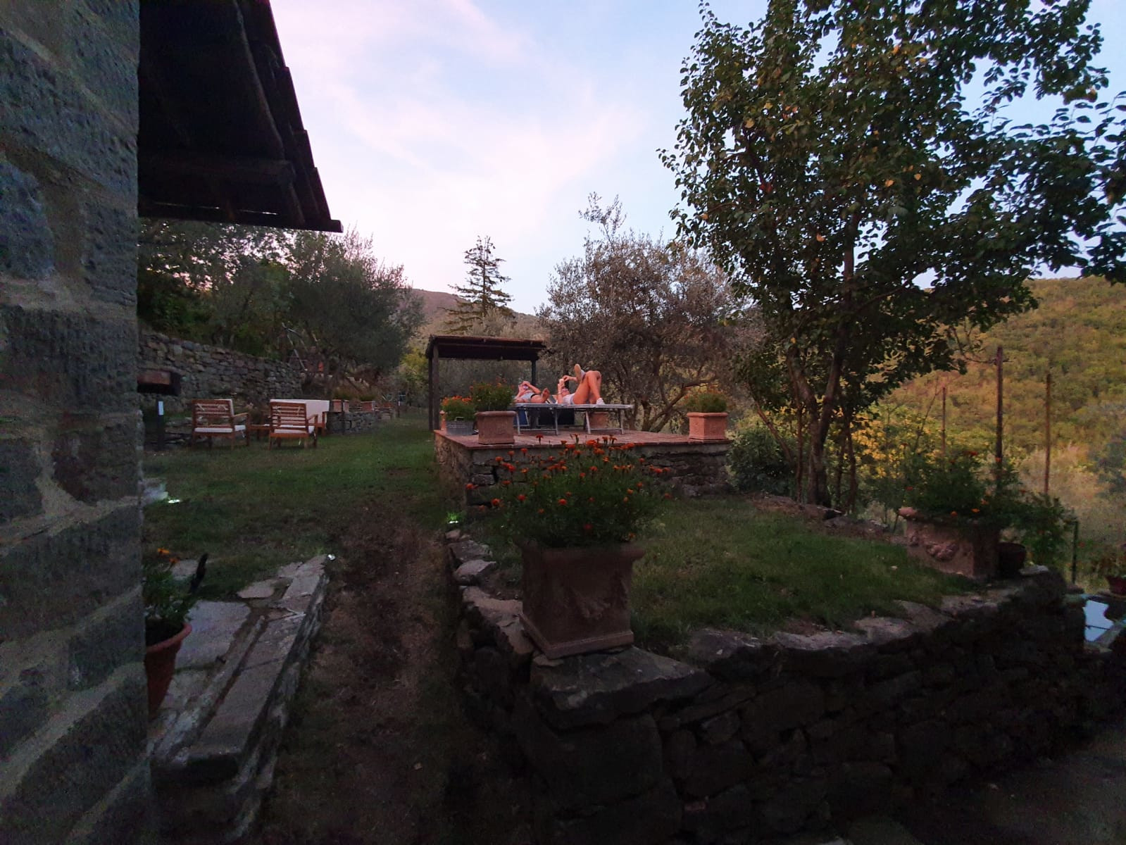 Camping panoramique au milieu des oliviers