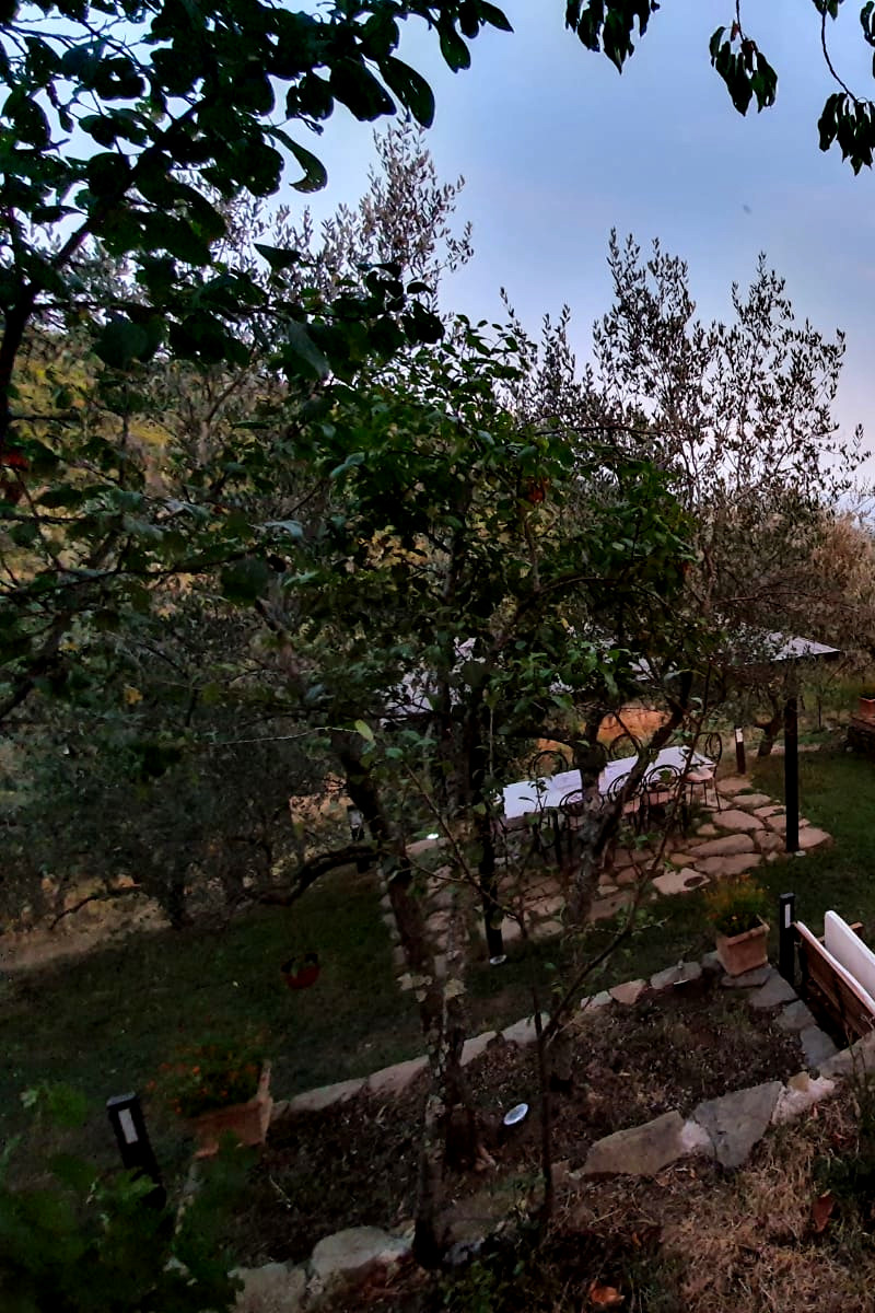 Camping panoramique au milieu des oliviers