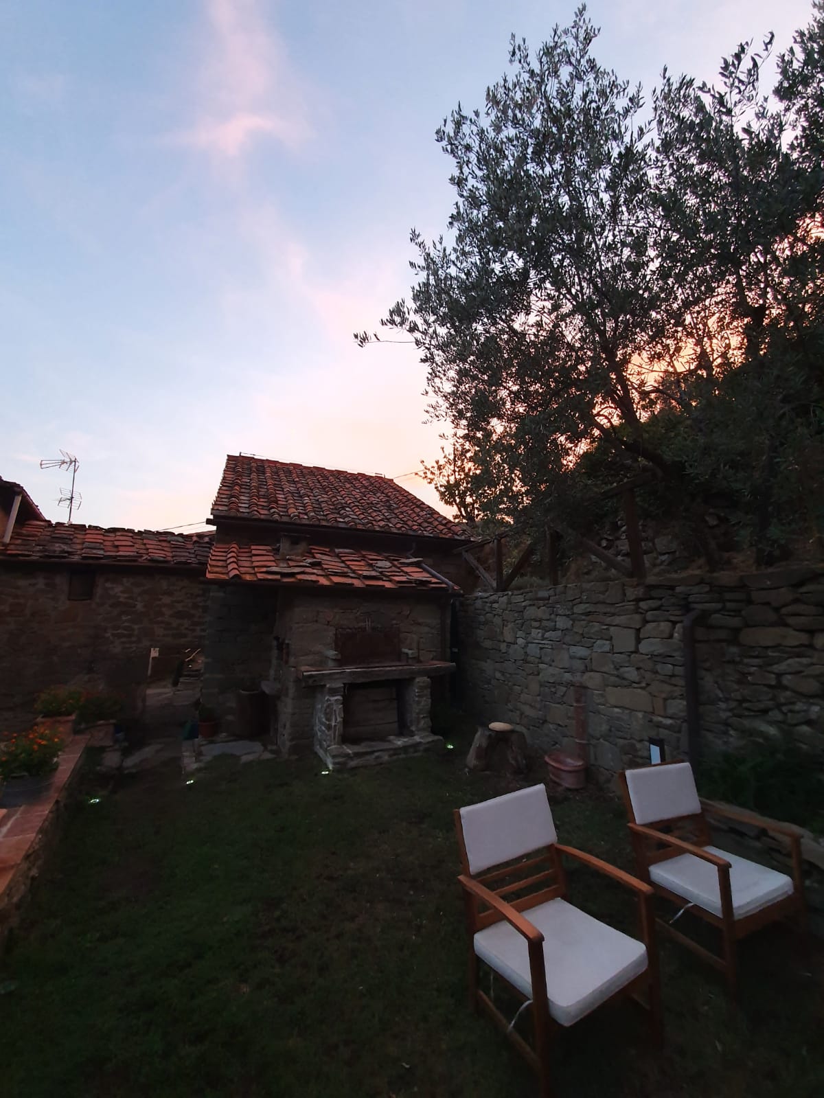 Camping panoramique au milieu des oliviers