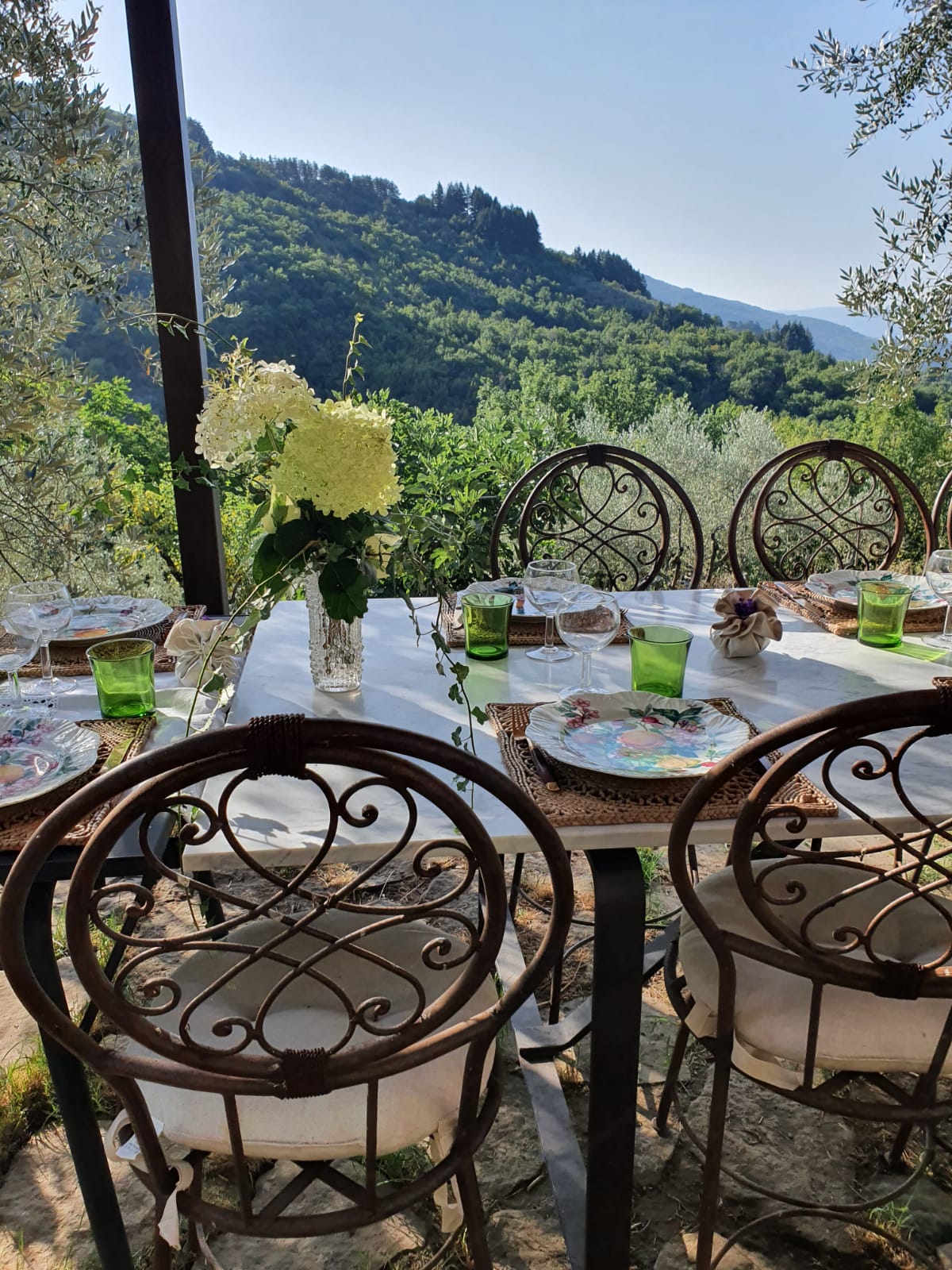 Camping panoramique au milieu des oliviers