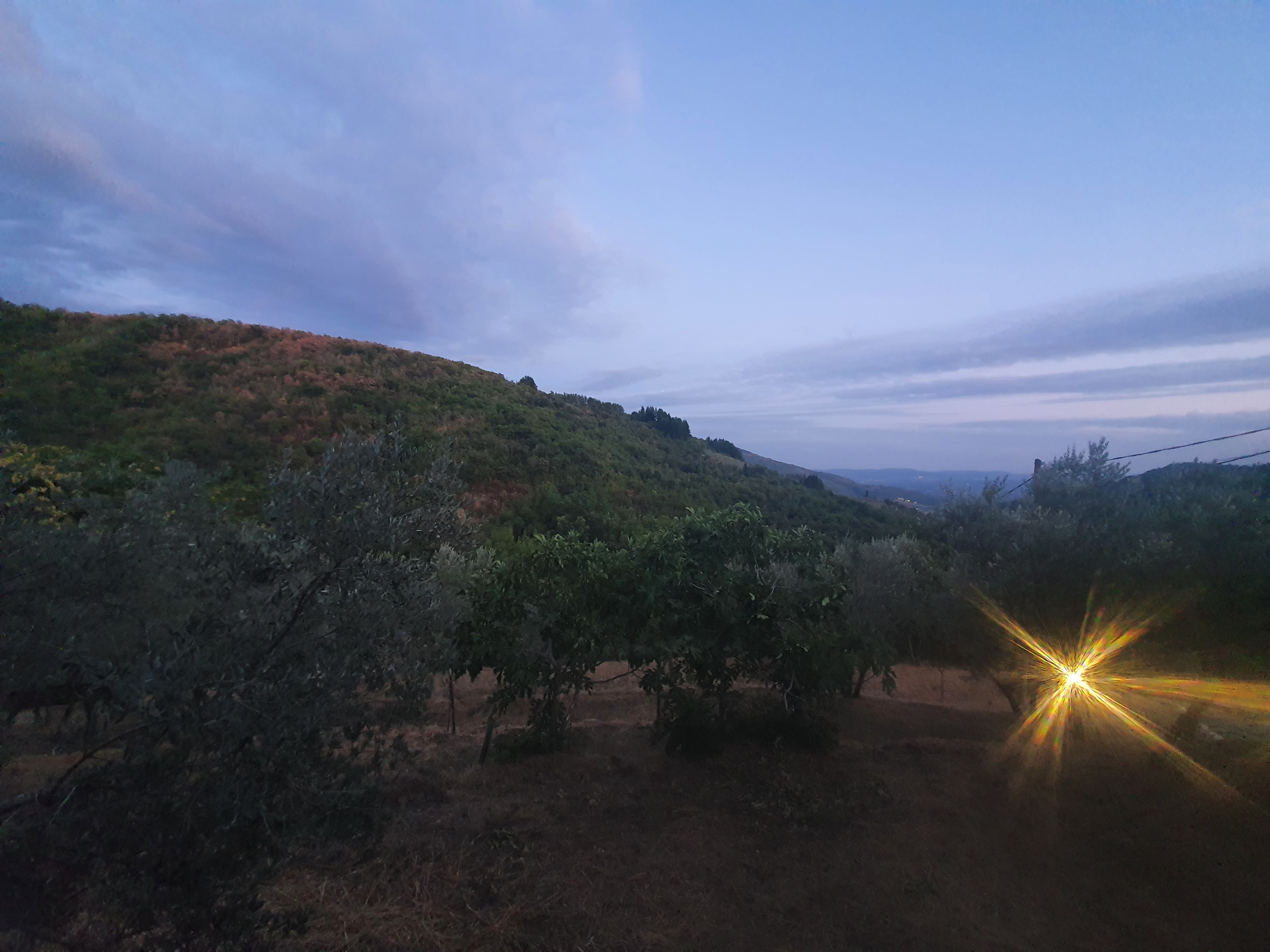 Camping panoramique au milieu des oliviers