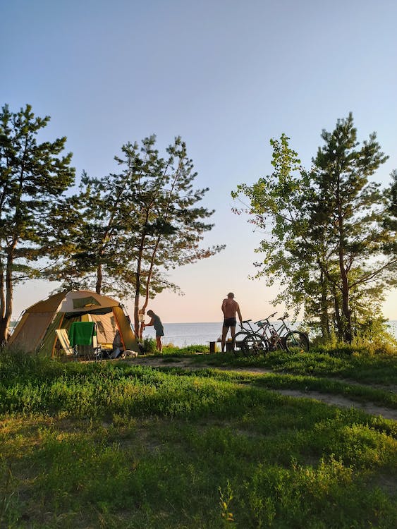 Camping in the private pine forest by the sea in Ragusa