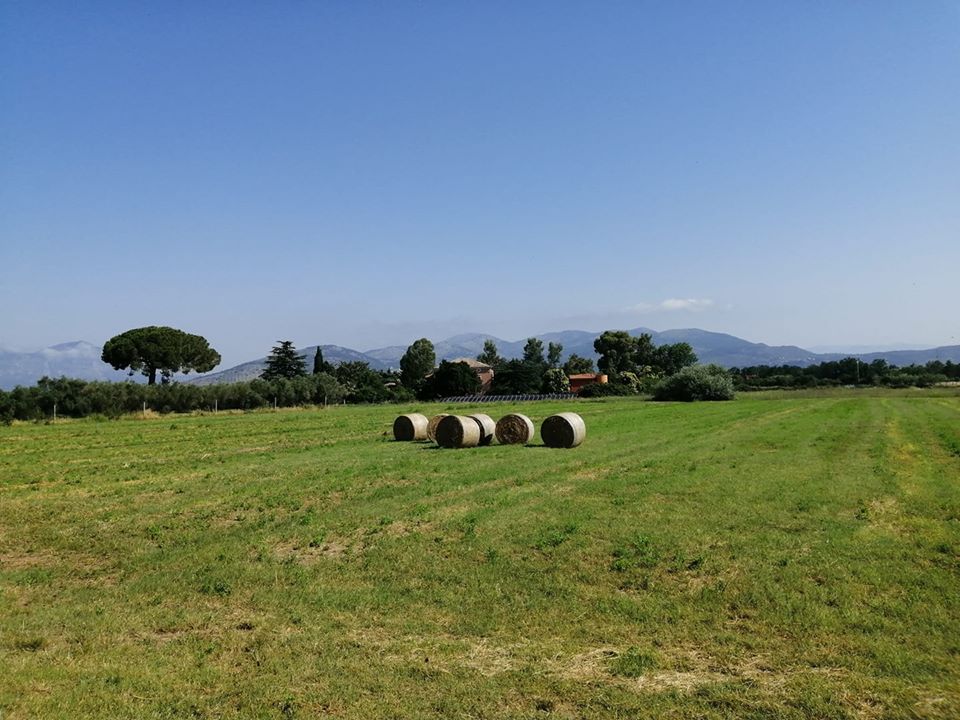 Camping in a Farm in Caserta