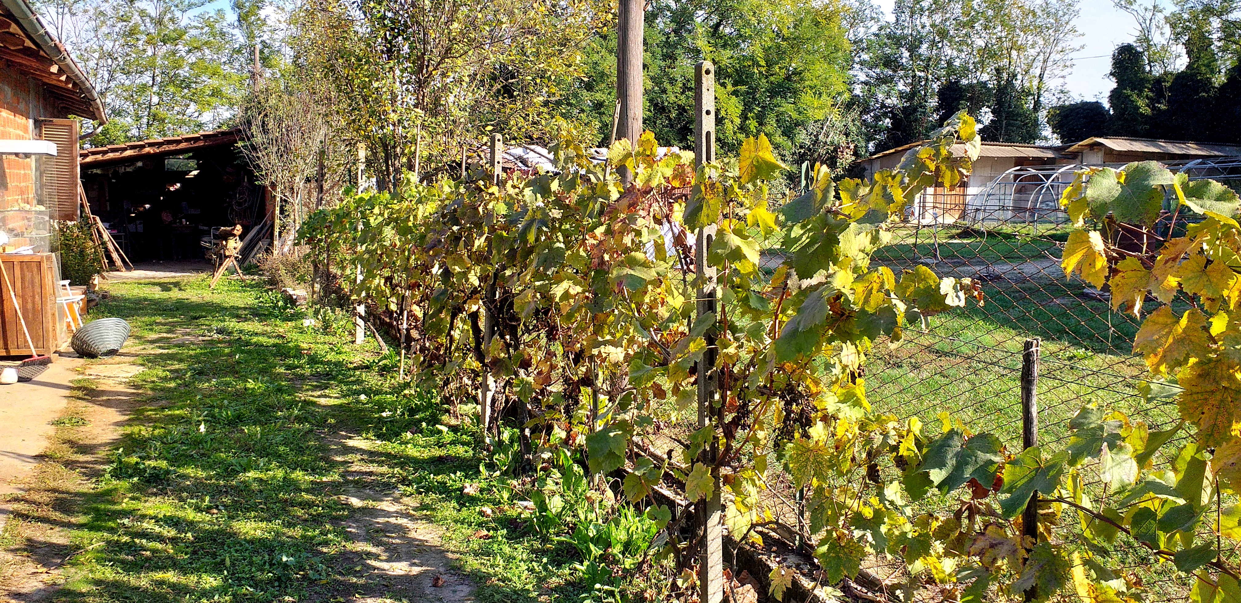 Camping et places pour camping-car Monferrato
