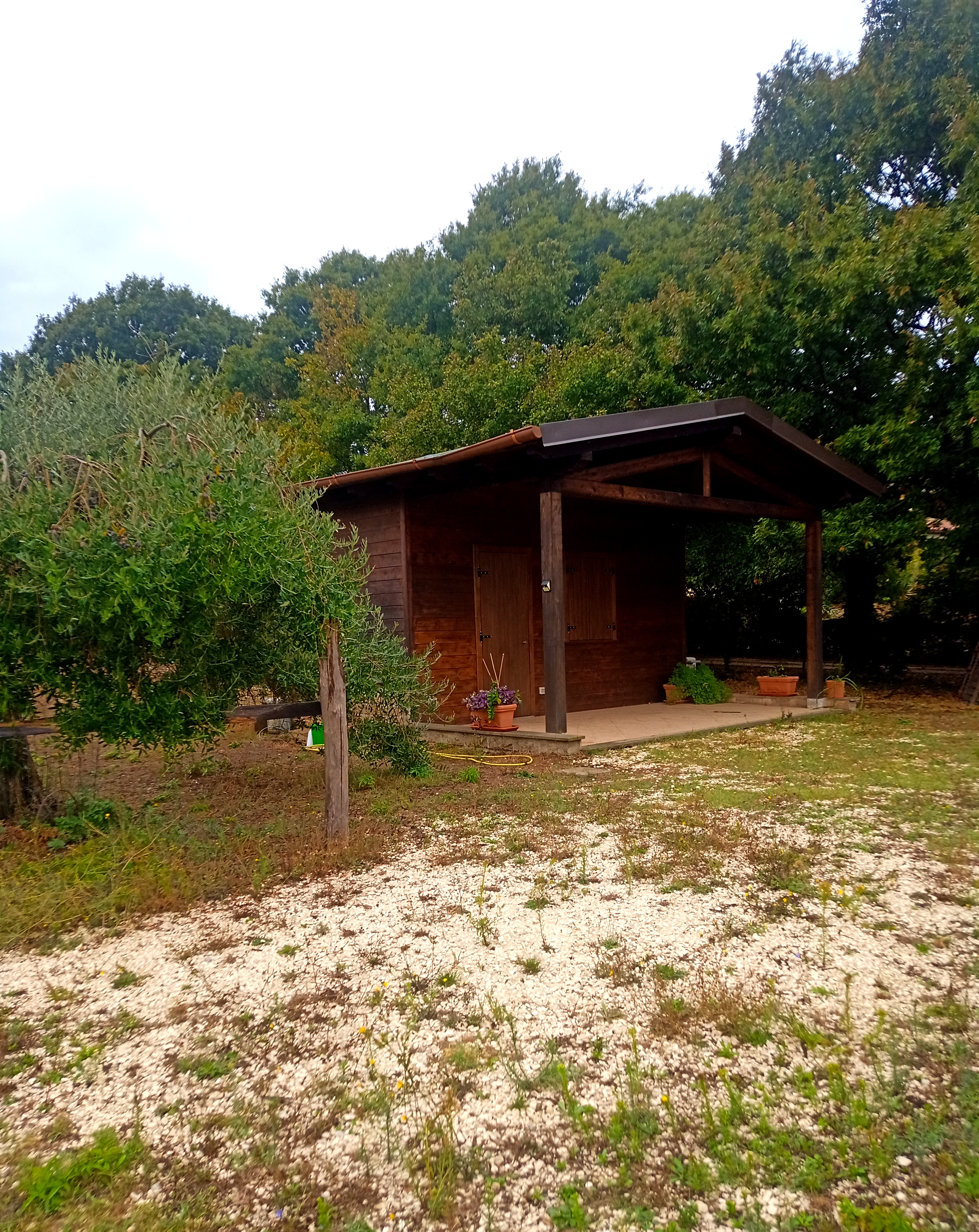 Little Bungalow on the farm