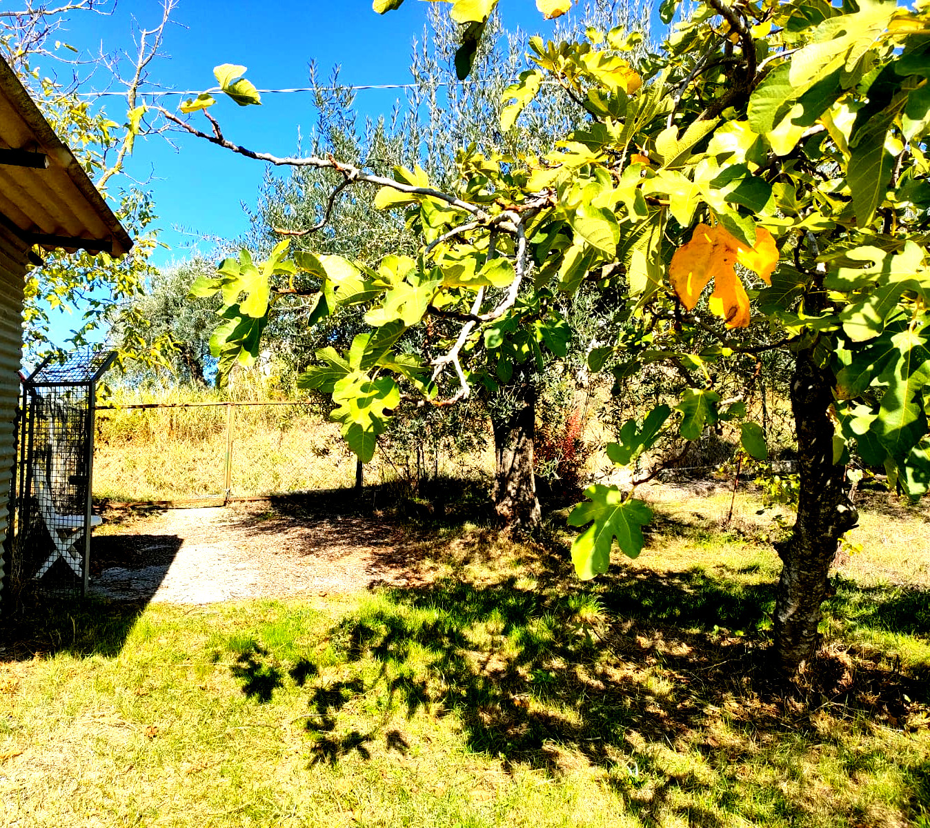 Camping pour les Tentes, camping-cars ou caravanes à San Gemini
