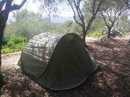 Camping in the middle of olive trees in Pistoia