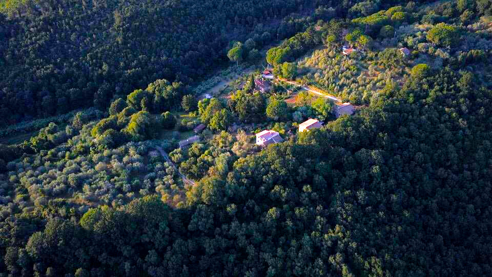 The campervan at Armonia Duale Holistic Centre in Pisa