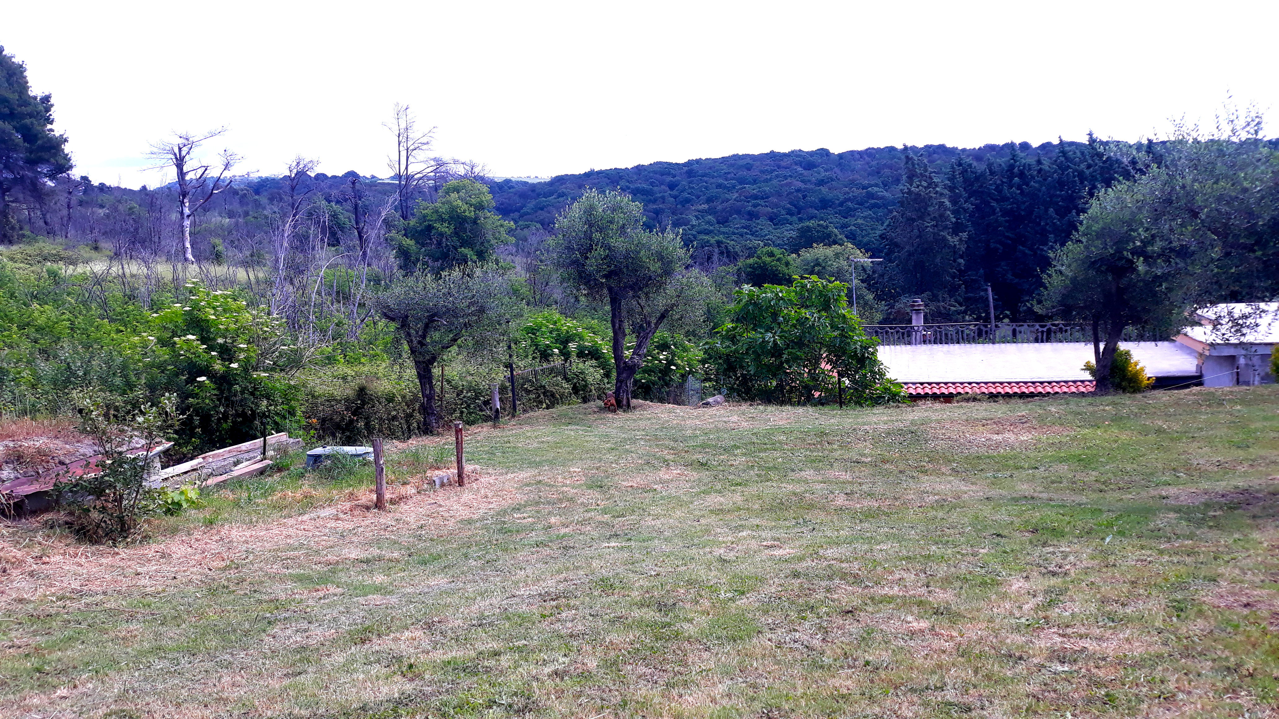 Large gardens for camping at Lake Martignano