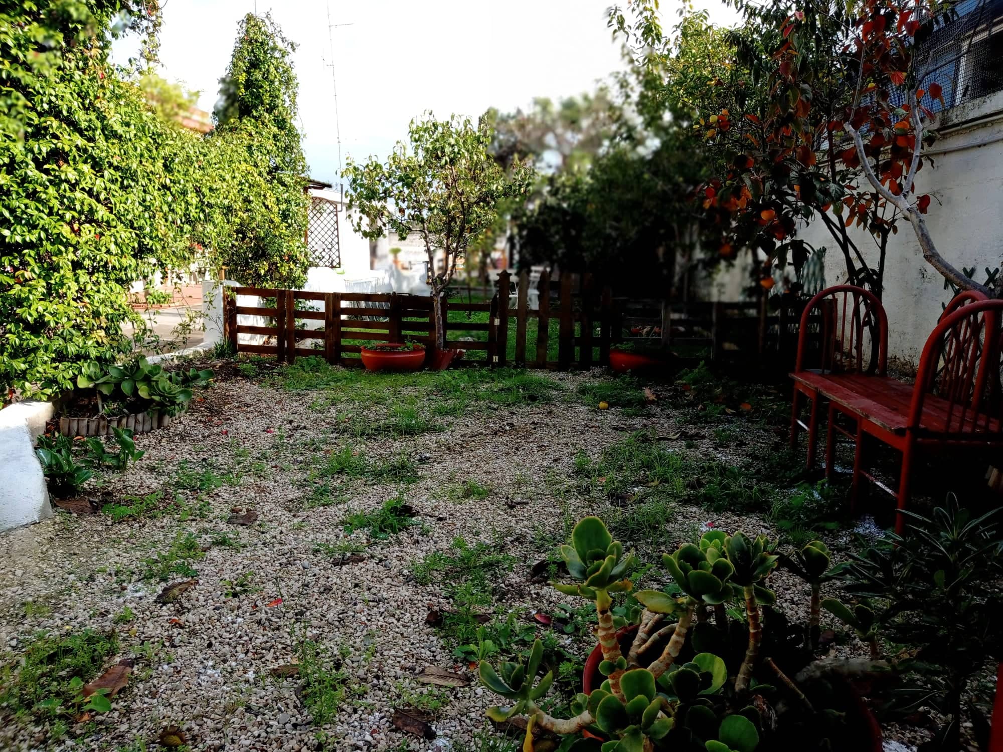 Parcelas para tiendas de campaña en una granja en las afueras de Bari