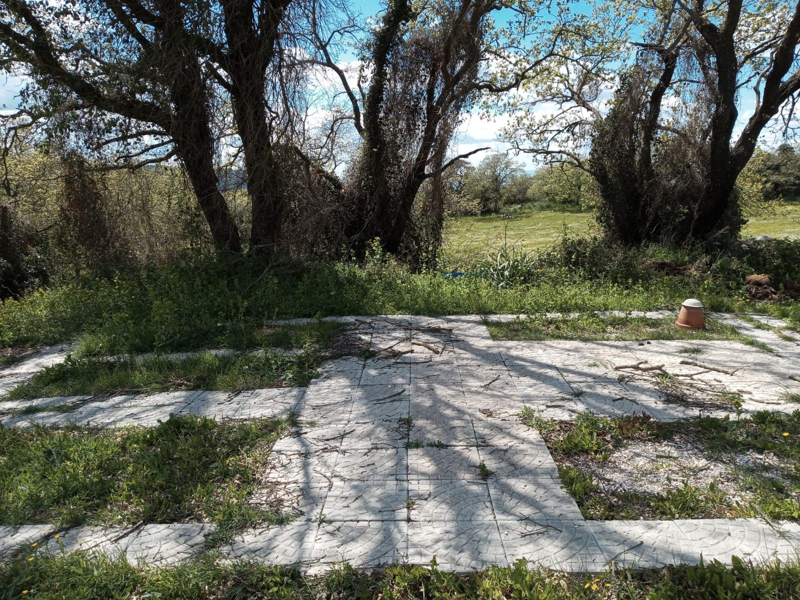 Green Area for Camping with Nuragic Spring