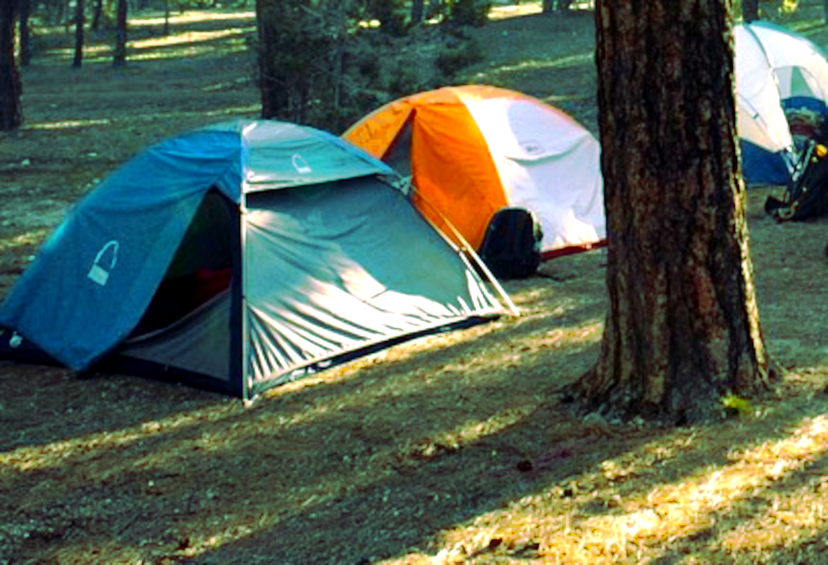 Camping area between woodland and lake