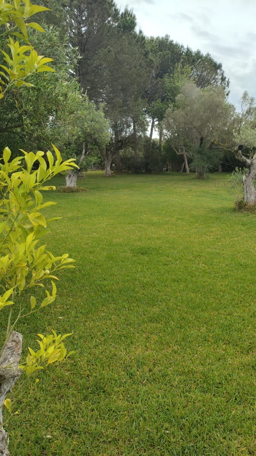 In tenda presso SJO Village in Sardegna