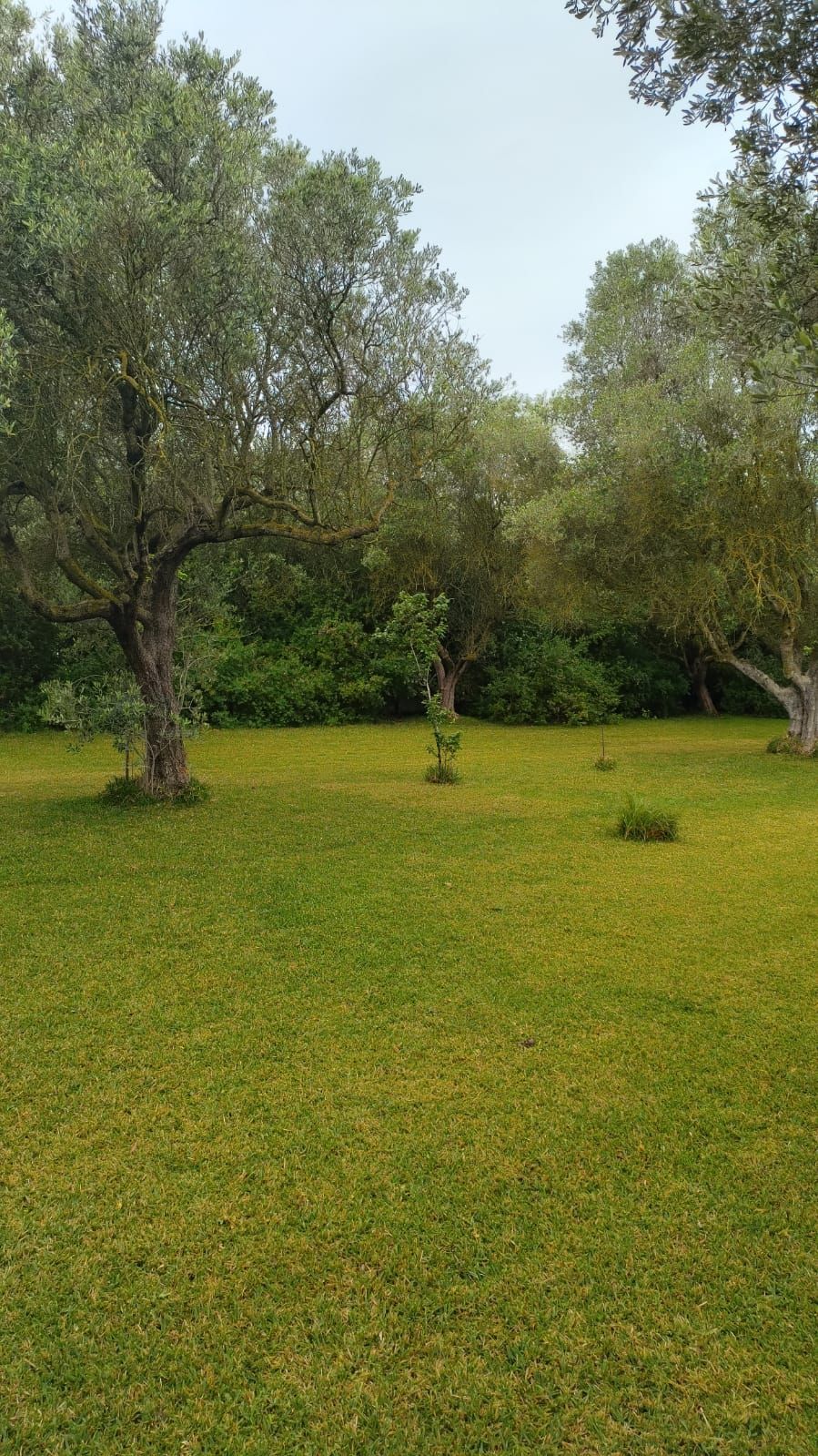 In tenda presso SJO Village in Sardegna