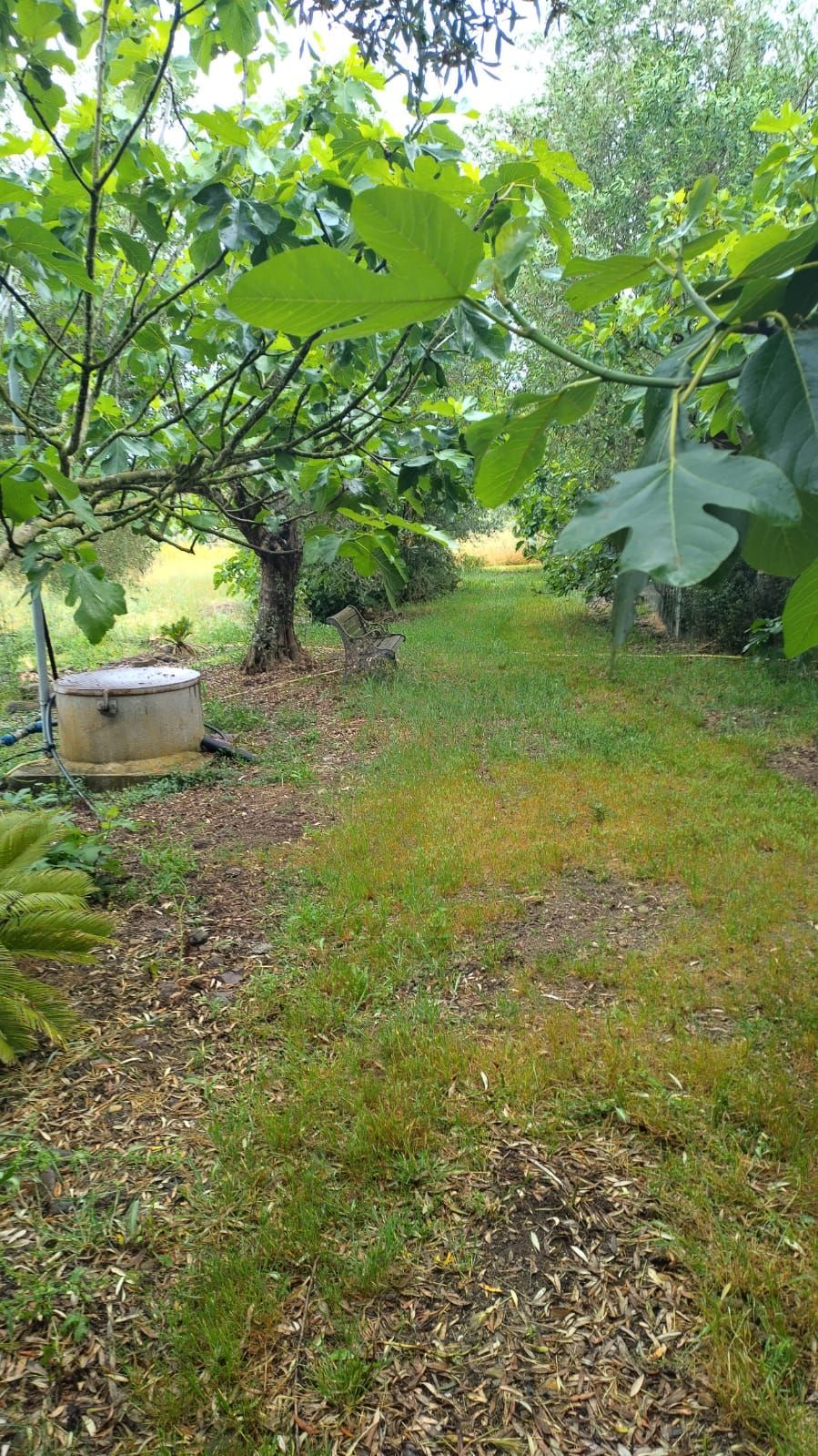 In tenda presso SJO Village in Sardegna
