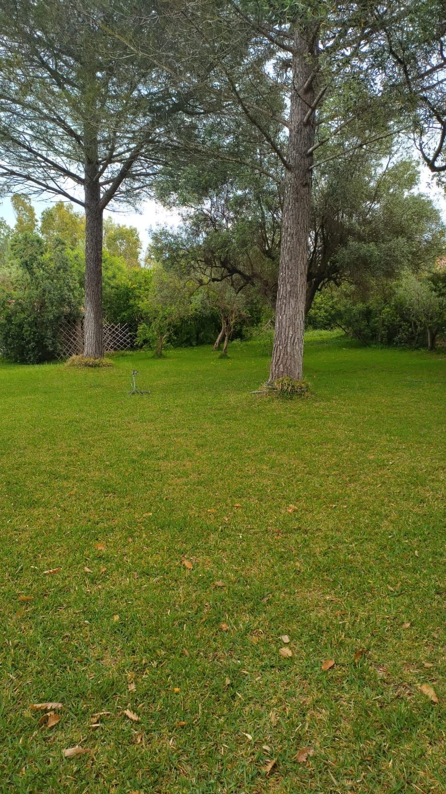 In tenda presso SJO Village in Sardegna
