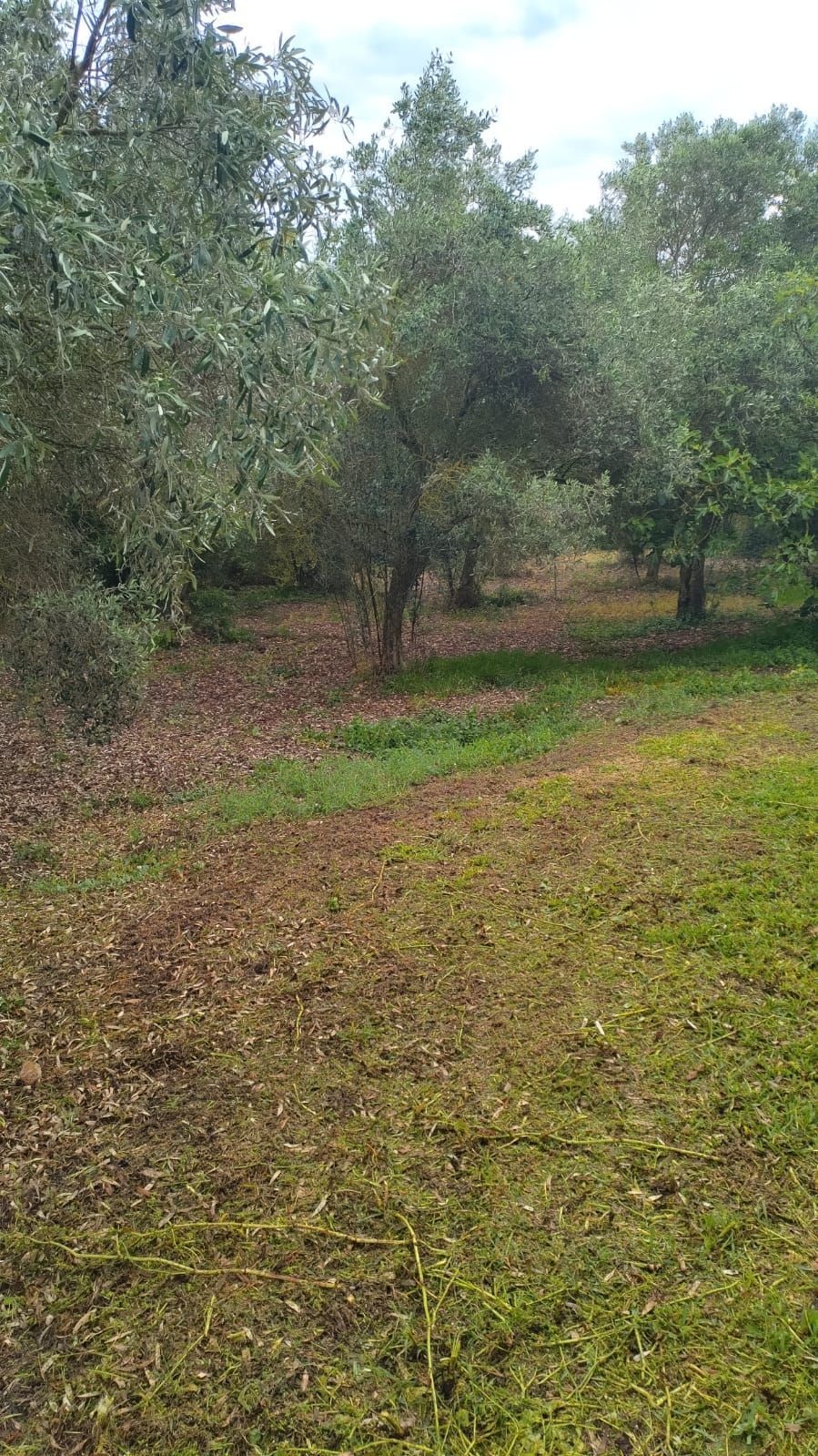 In tenda presso SJO Village in Sardegna