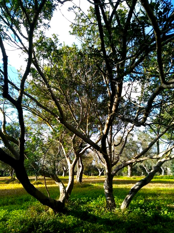 In tenda presso SJO Village in Sardegna