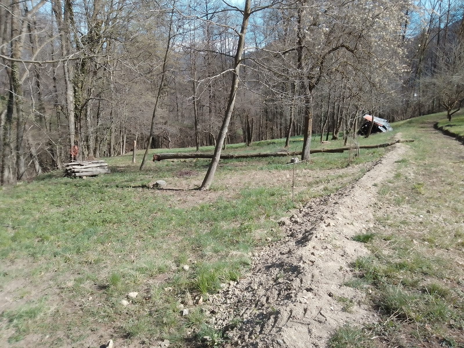 Piazzola tra i castagni di Cuneo