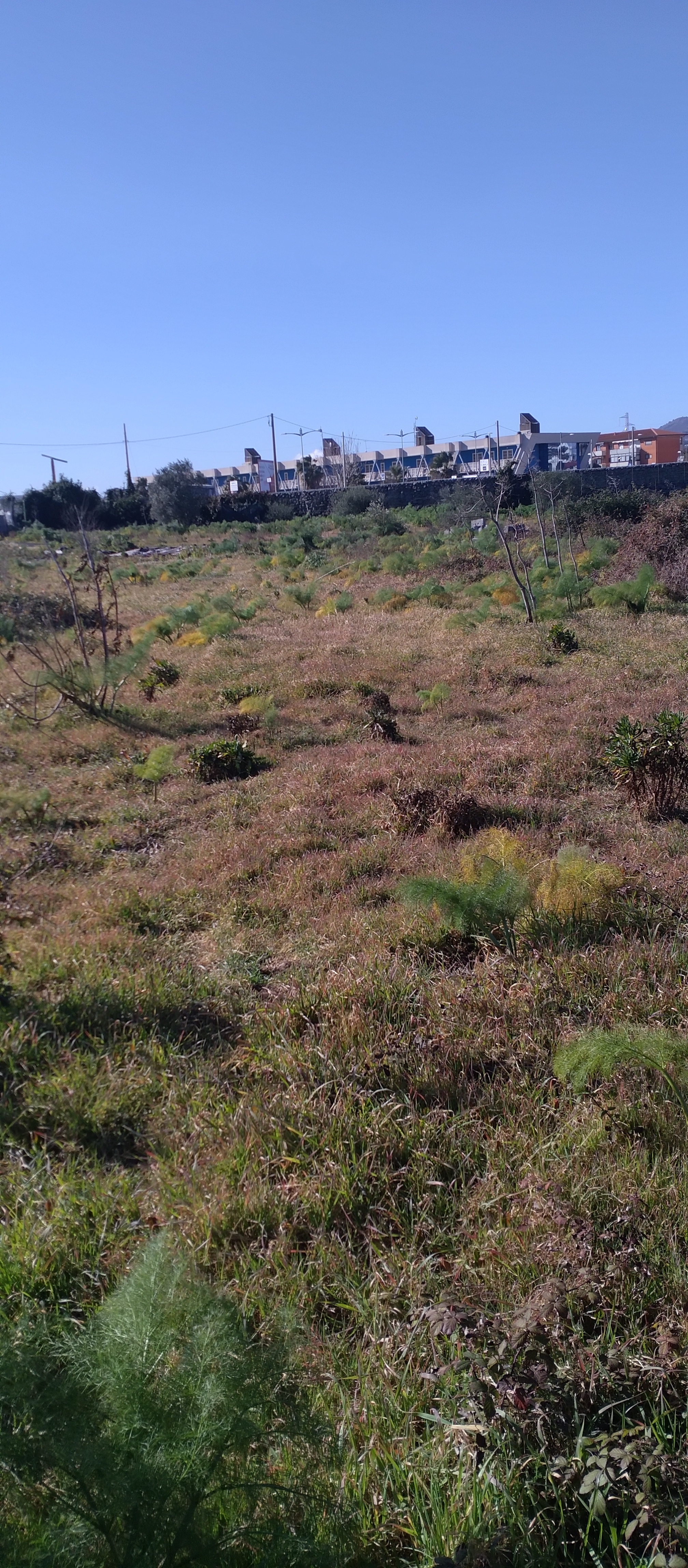 Piazzola nella natura in provincia di Catania