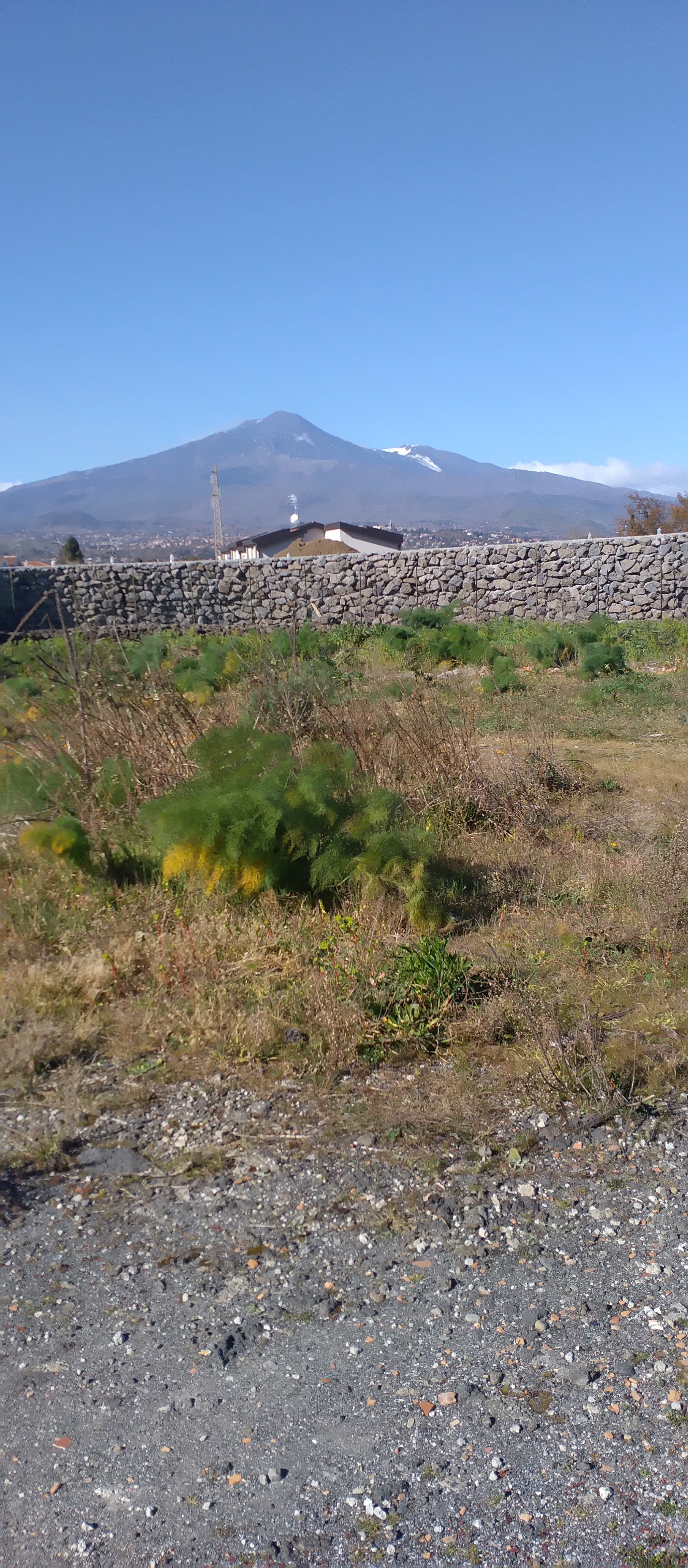 Piazzola nella natura in provincia di Catania