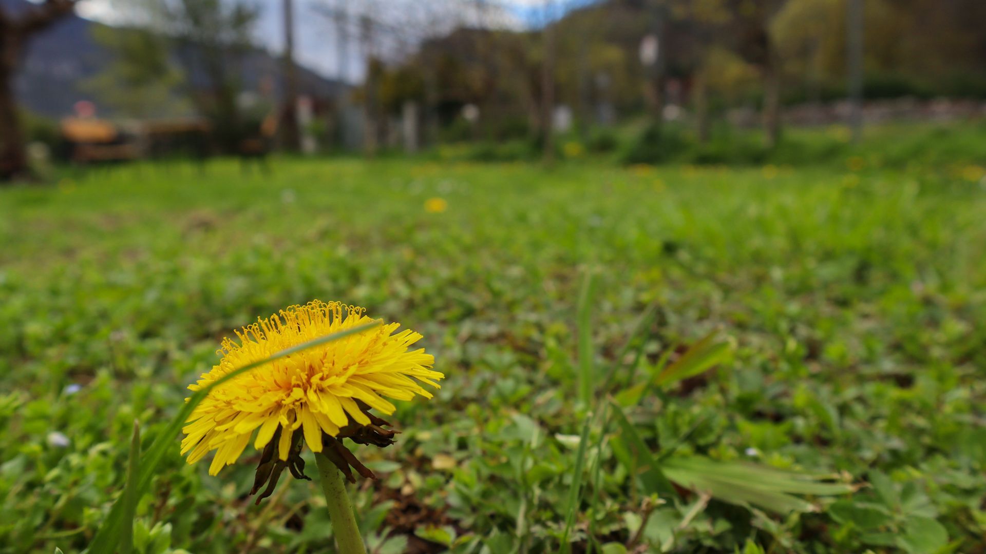 Vicino a tutto:  Arcobaleni, Vigne, Neve e il Lago a Mori, Trento