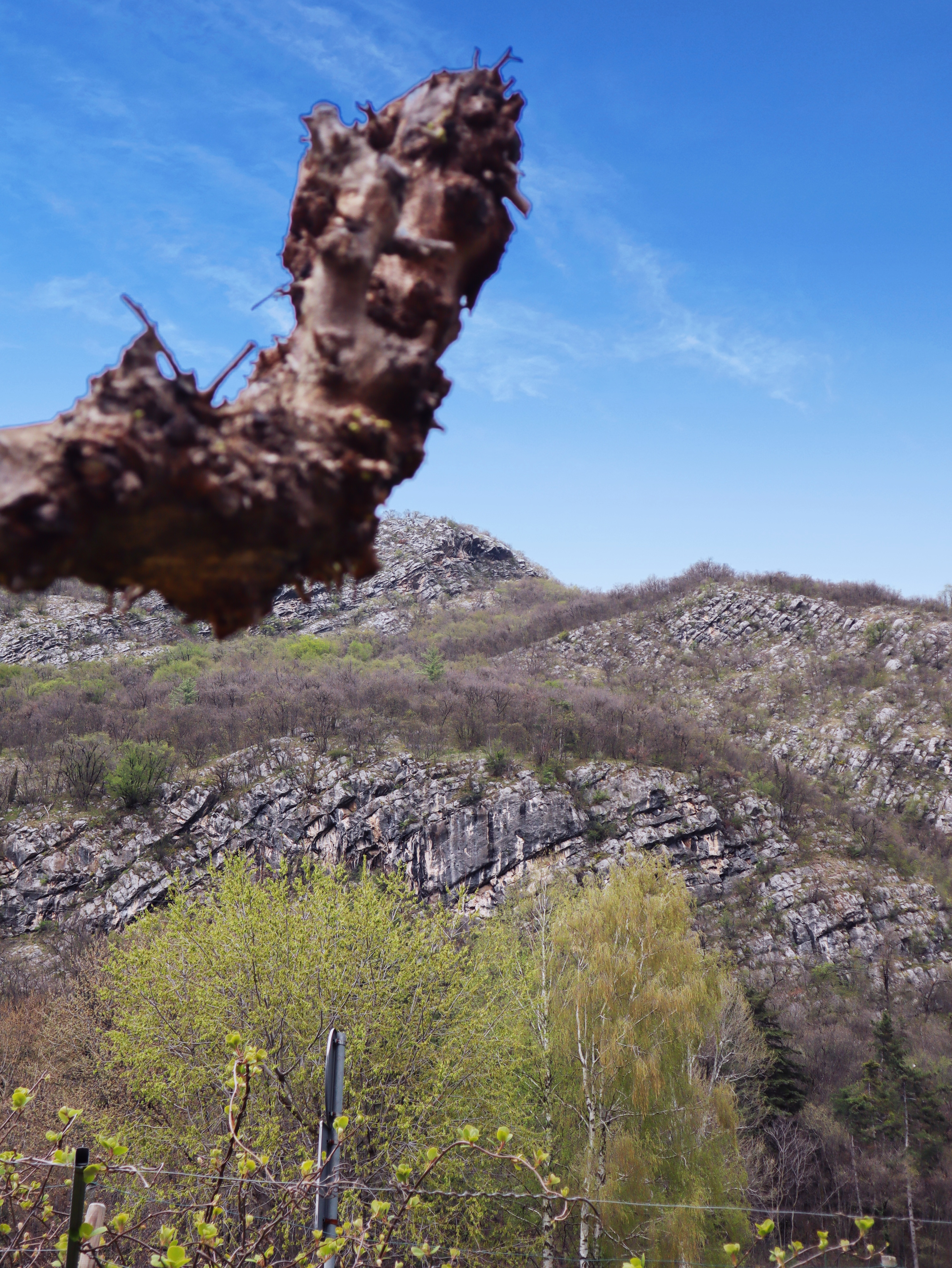 Vicino a tutto:  Arcobaleni, Vigne, Neve e il Lago a Mori, Trento